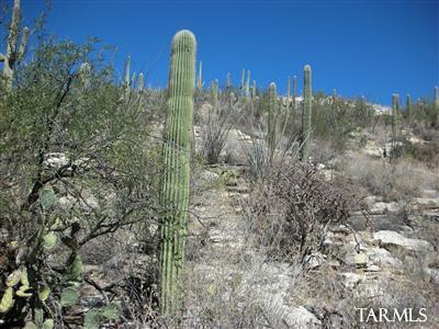 Mira Vista Estates (1-23) - Land