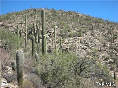 Mira Vista Estates (1-23) - Land