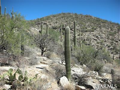 Mira Vista Estates (1-23) - Land