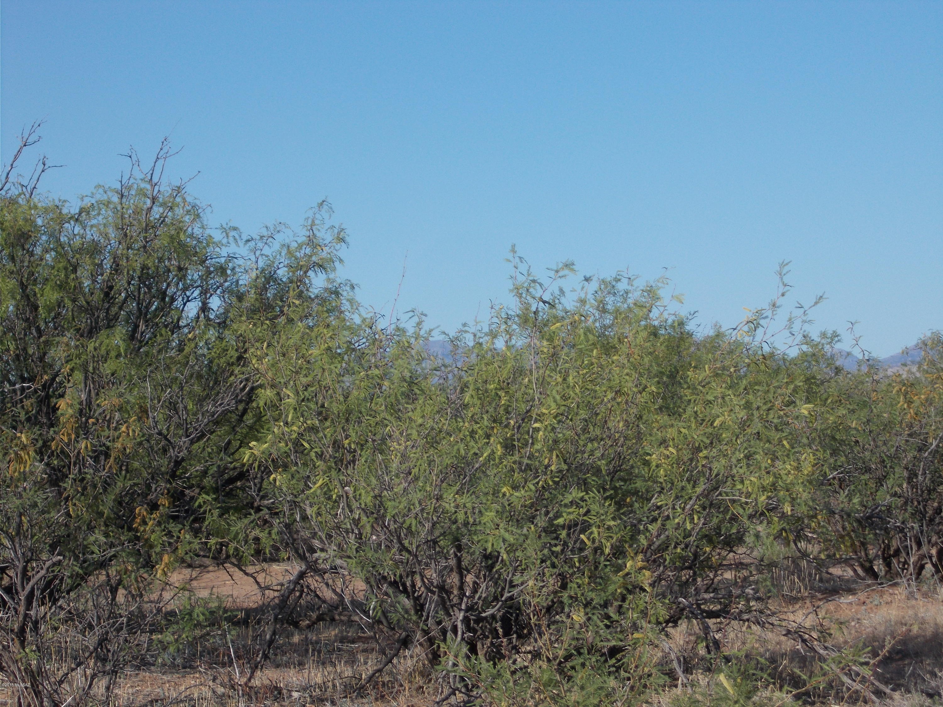 Ash Creek Ranch - Land