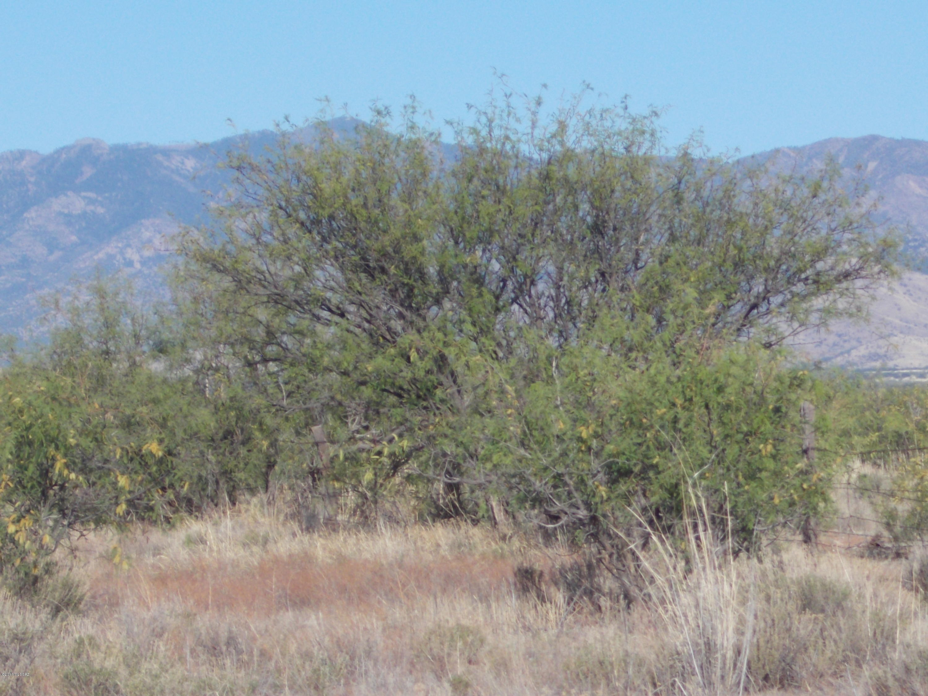 Ash Creek Ranch - Land