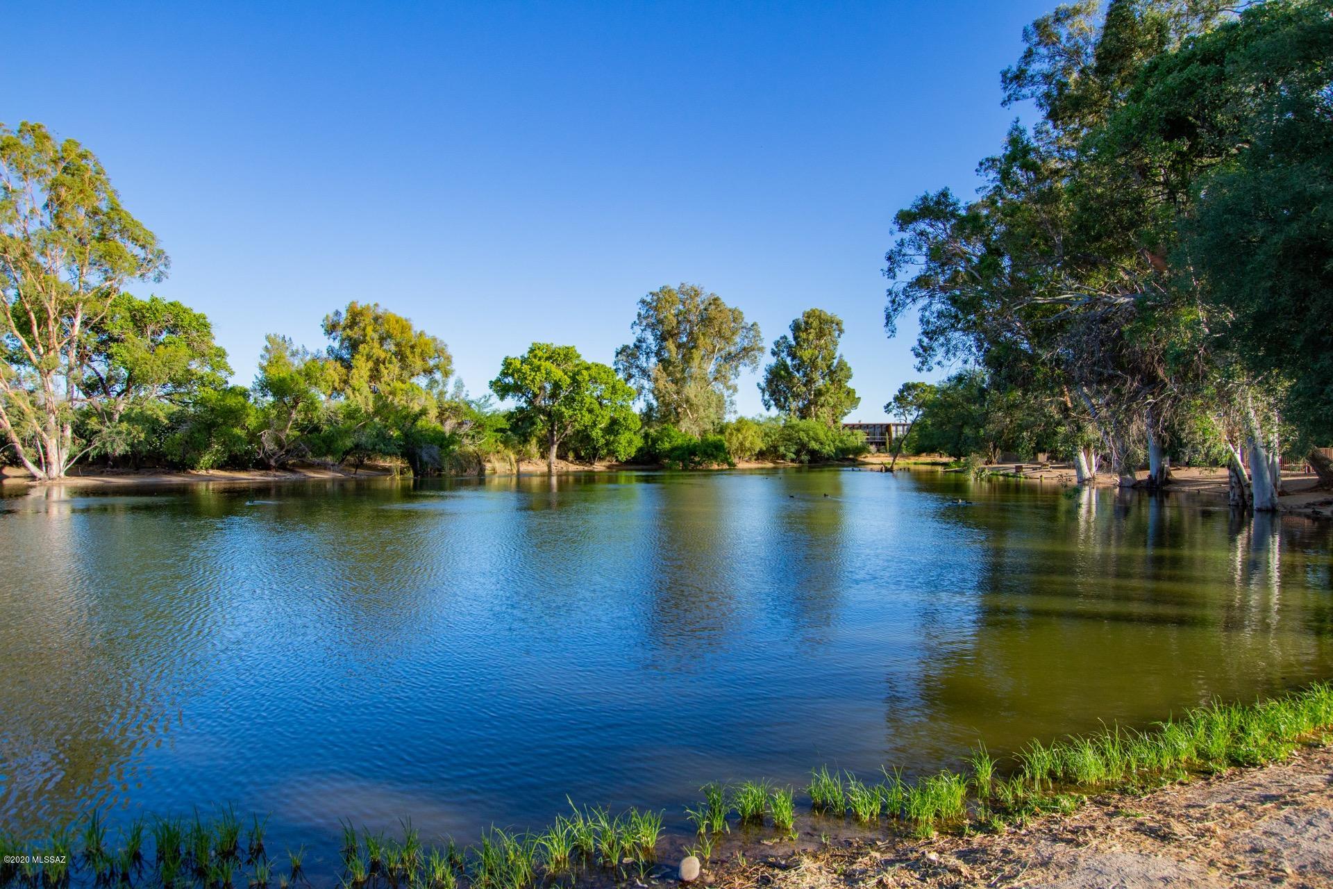 Lakes At Castle Rock (The) - Residential
