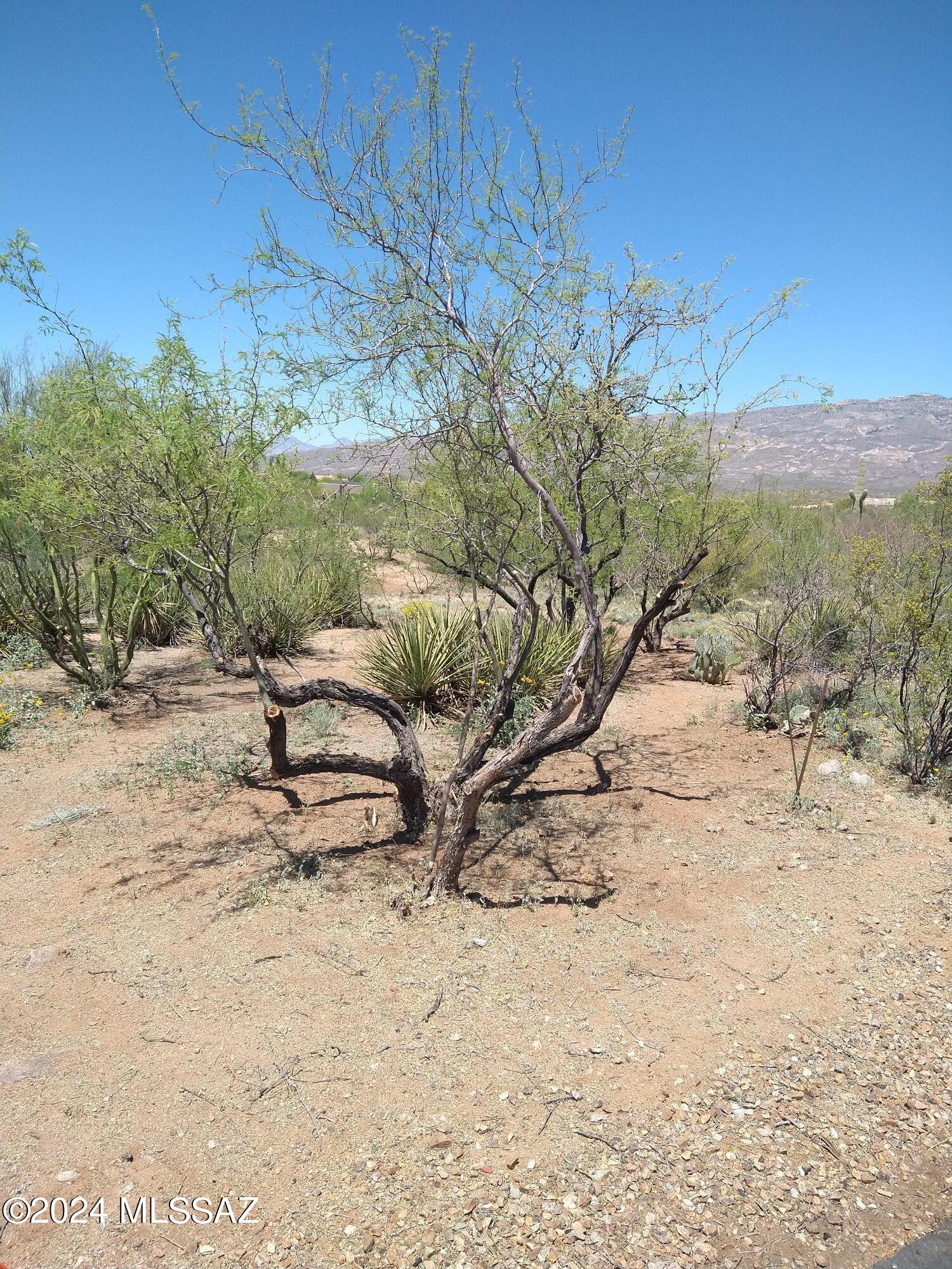 Coyote Creek (1-395) - Land