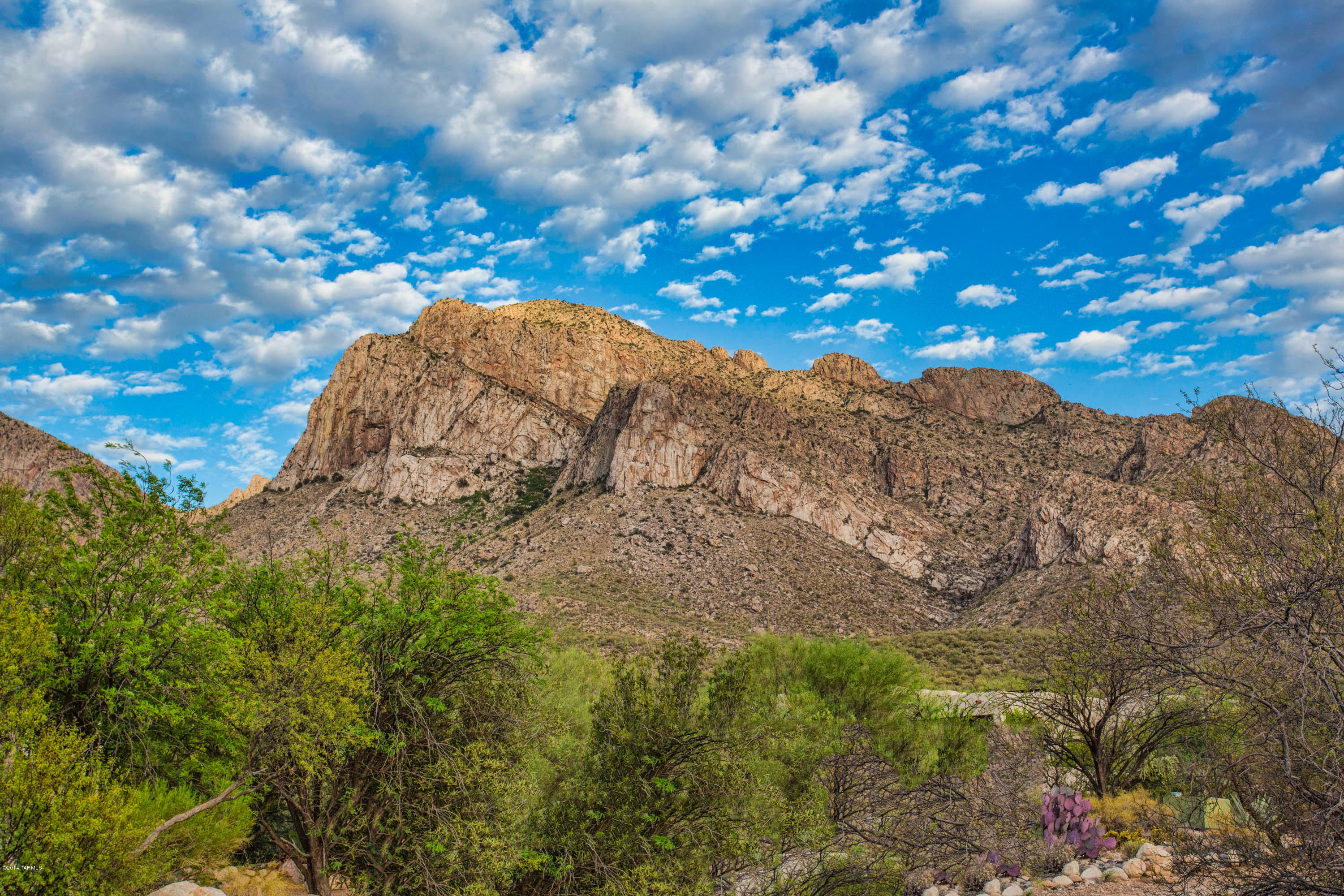 Pusch Ridge Estates (1-65) - Residential