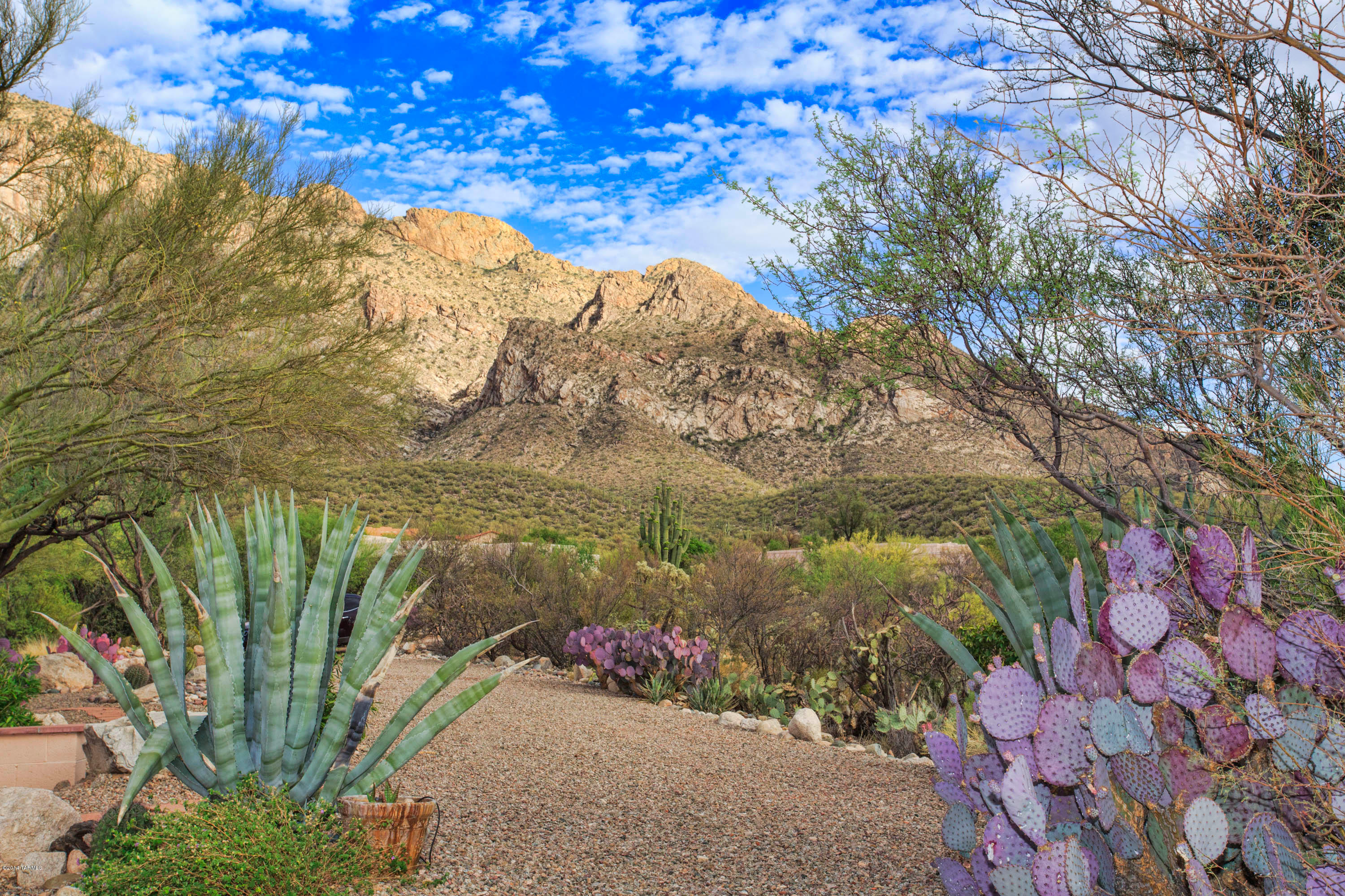 Pusch Ridge Estates (1-65) - Residential