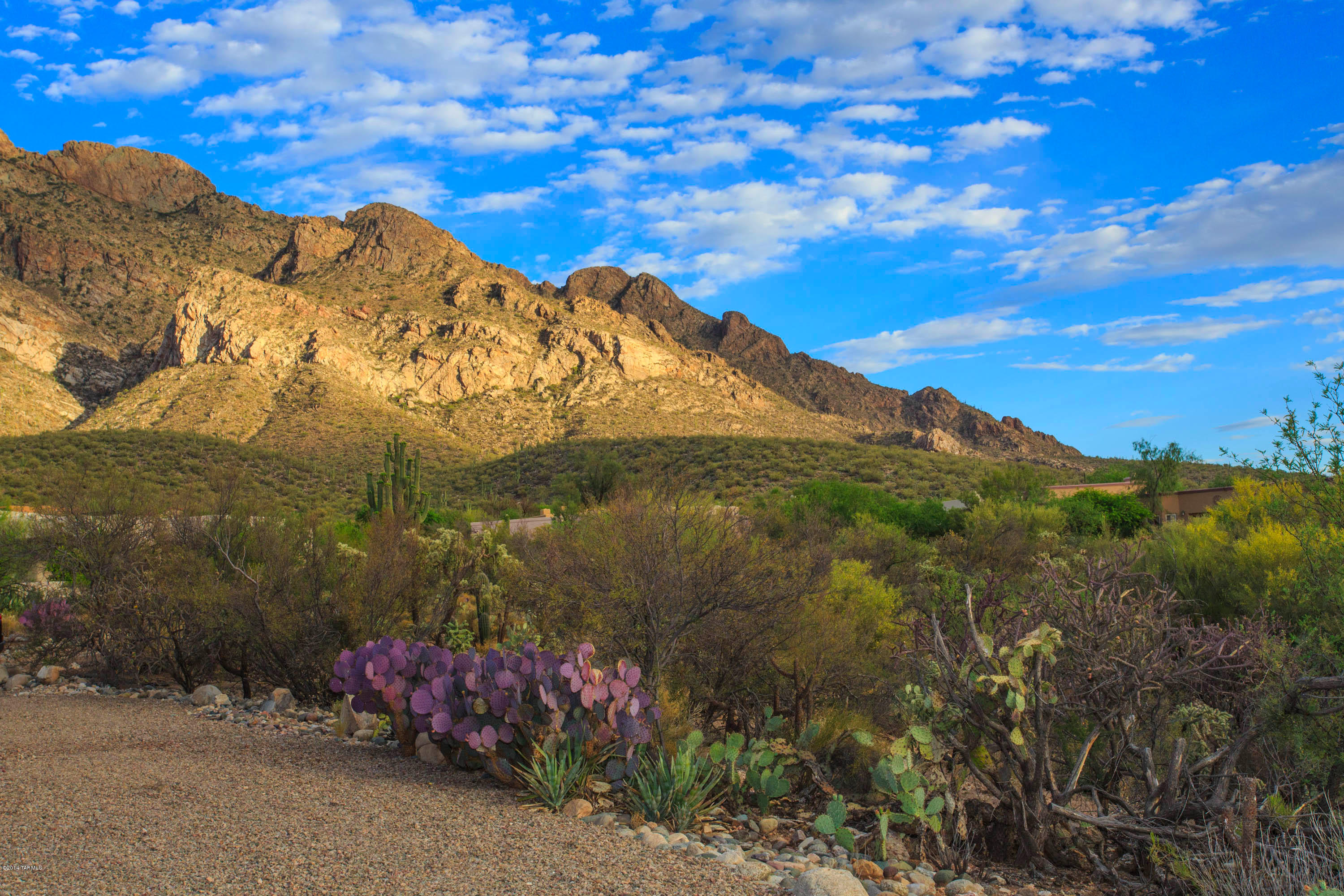 Pusch Ridge Estates (1-65) - Residential