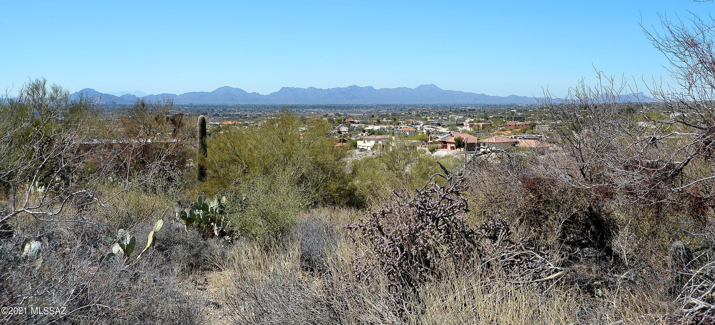 Rio Verde Vista II (1-73) - Land