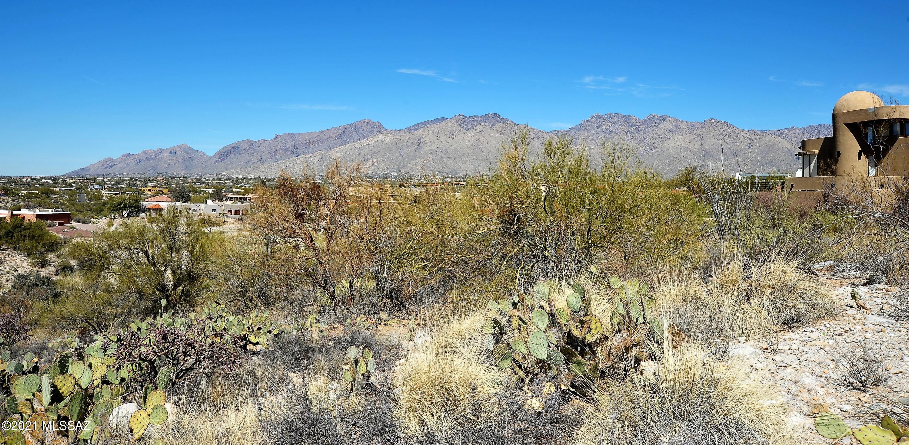 Rio Verde Vista II (1-73) - Land