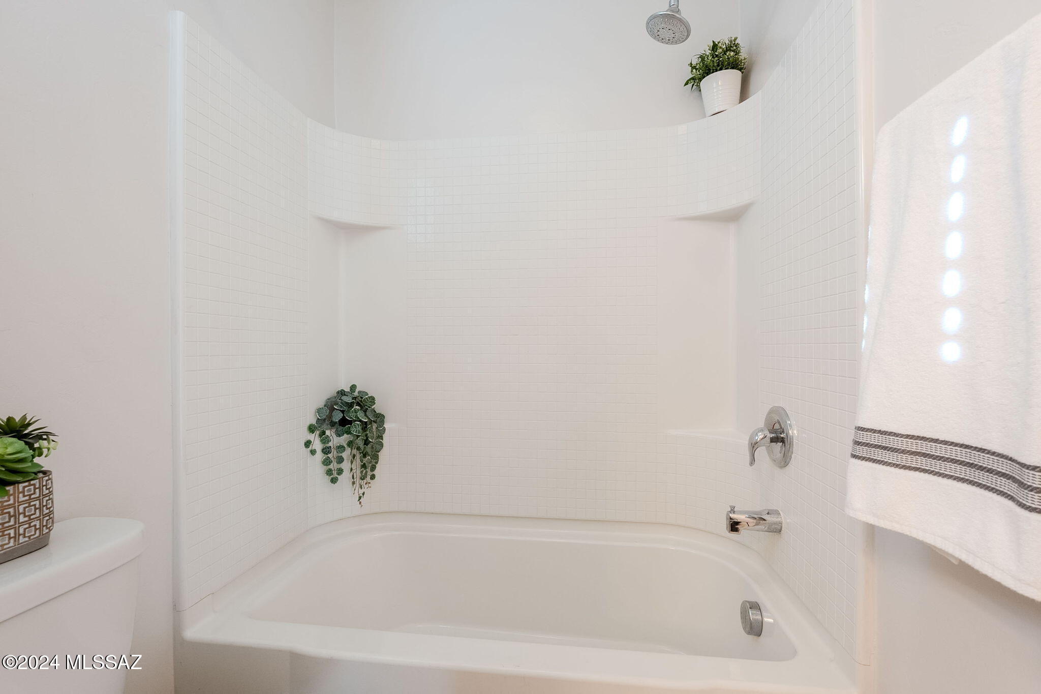 Saguaro Bloom Block 4 - Residential