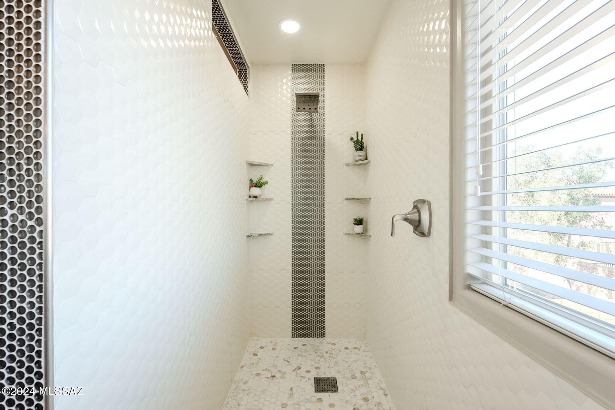 Saguaro Bloom Block 4 - Residential
