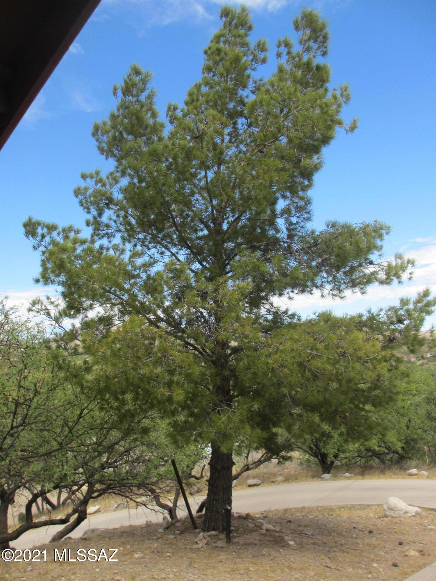 Rio Rico Estates 13 - Residential