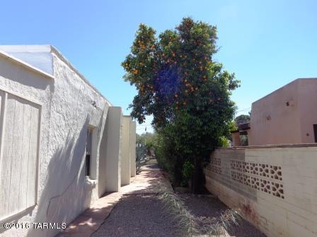 Morning View - Residential