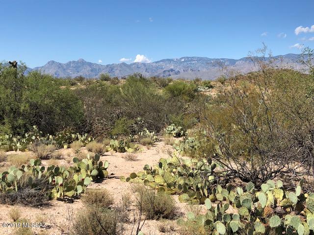 From BREATHTAKING vistas of north Catalina Mtns to the east Rincon Mtns sits a DESERT SANCTUARY with KNOLL-TOP, near flat topo and rural setting.   Horse property, easy terrain, Sonoran vegetation and glorious sunrises CAPTURE the SPIRIT and CULTURE of our SOUTHWEST.  NO HOA!  Only County SR restrictions apply.  This is truly a hidden treasure on Tucson's RURAL EASTSIDE, about halfway down a rural, dead-end country road for the ultimate in privacy.  With almost a FOOTBALL FIELD AND A HALF of frontage, there are several locations to site your next home.   See SURVEY with photos.