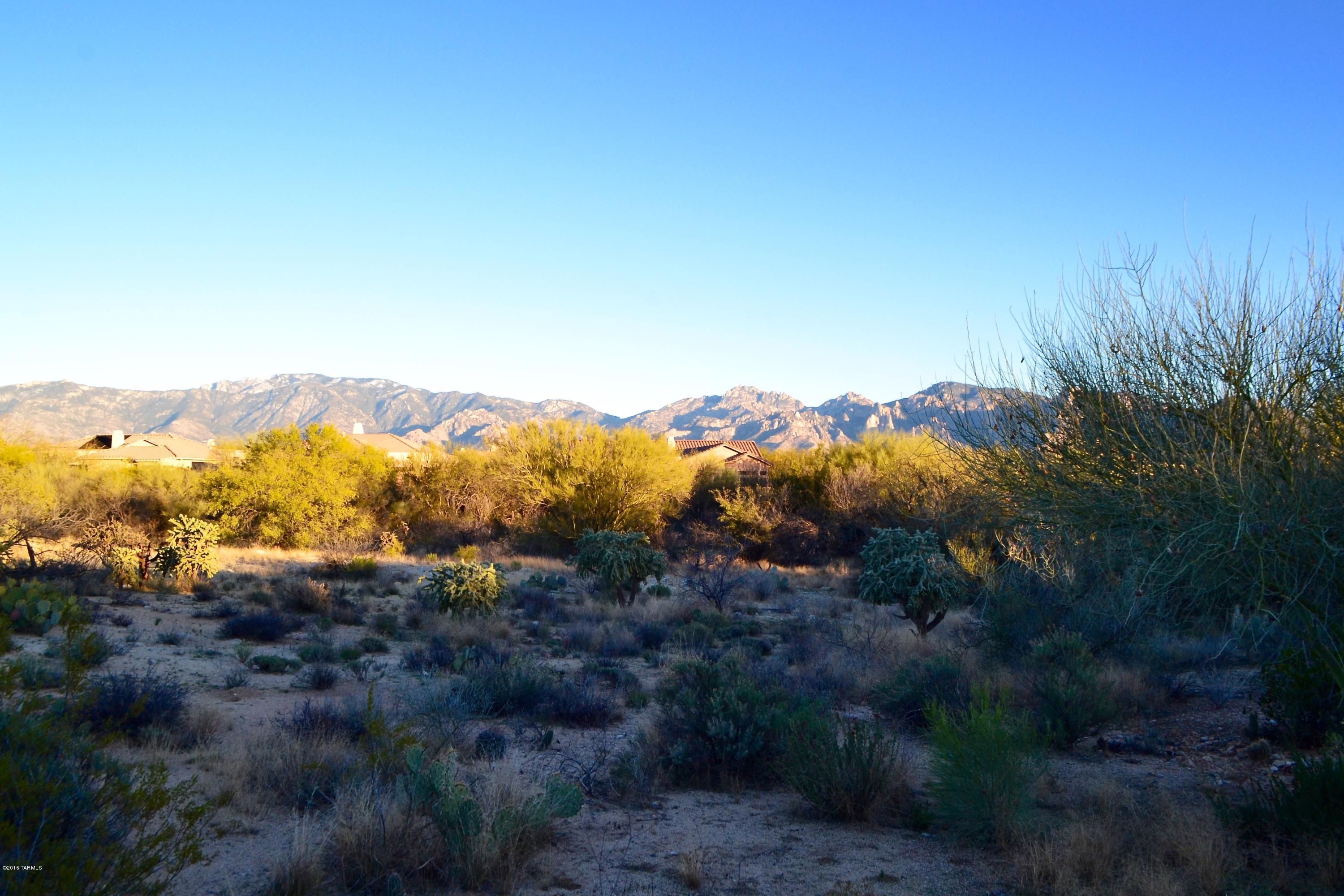 Stone Canyon I - Land
