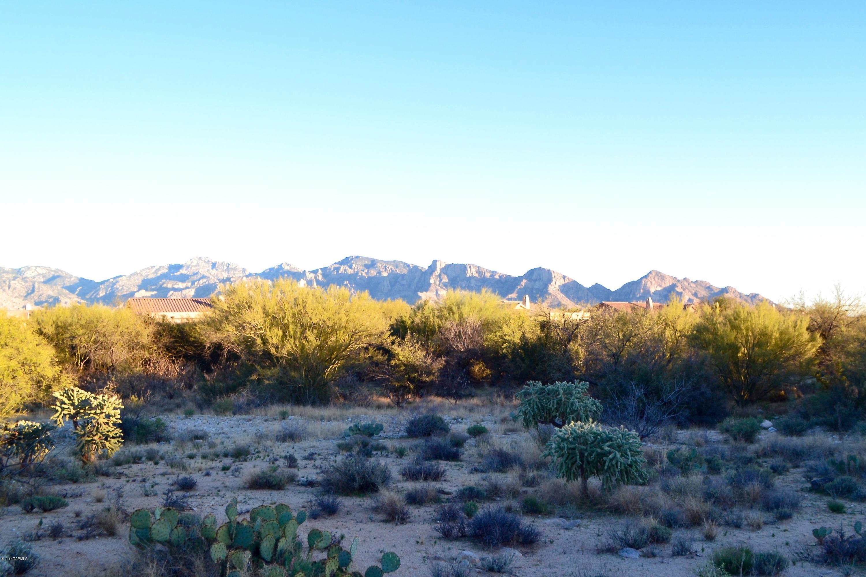 Stone Canyon I - Land