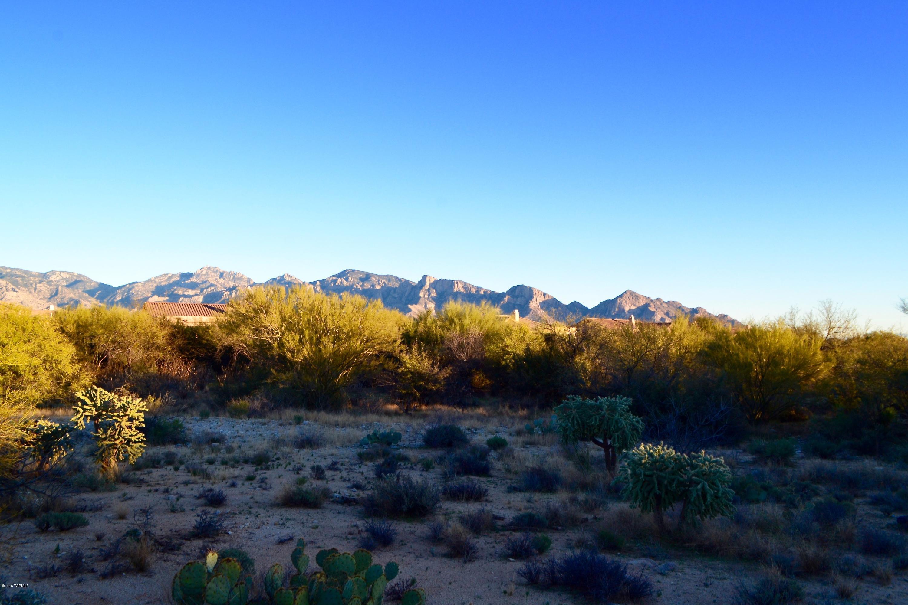 Stone Canyon I - Land
