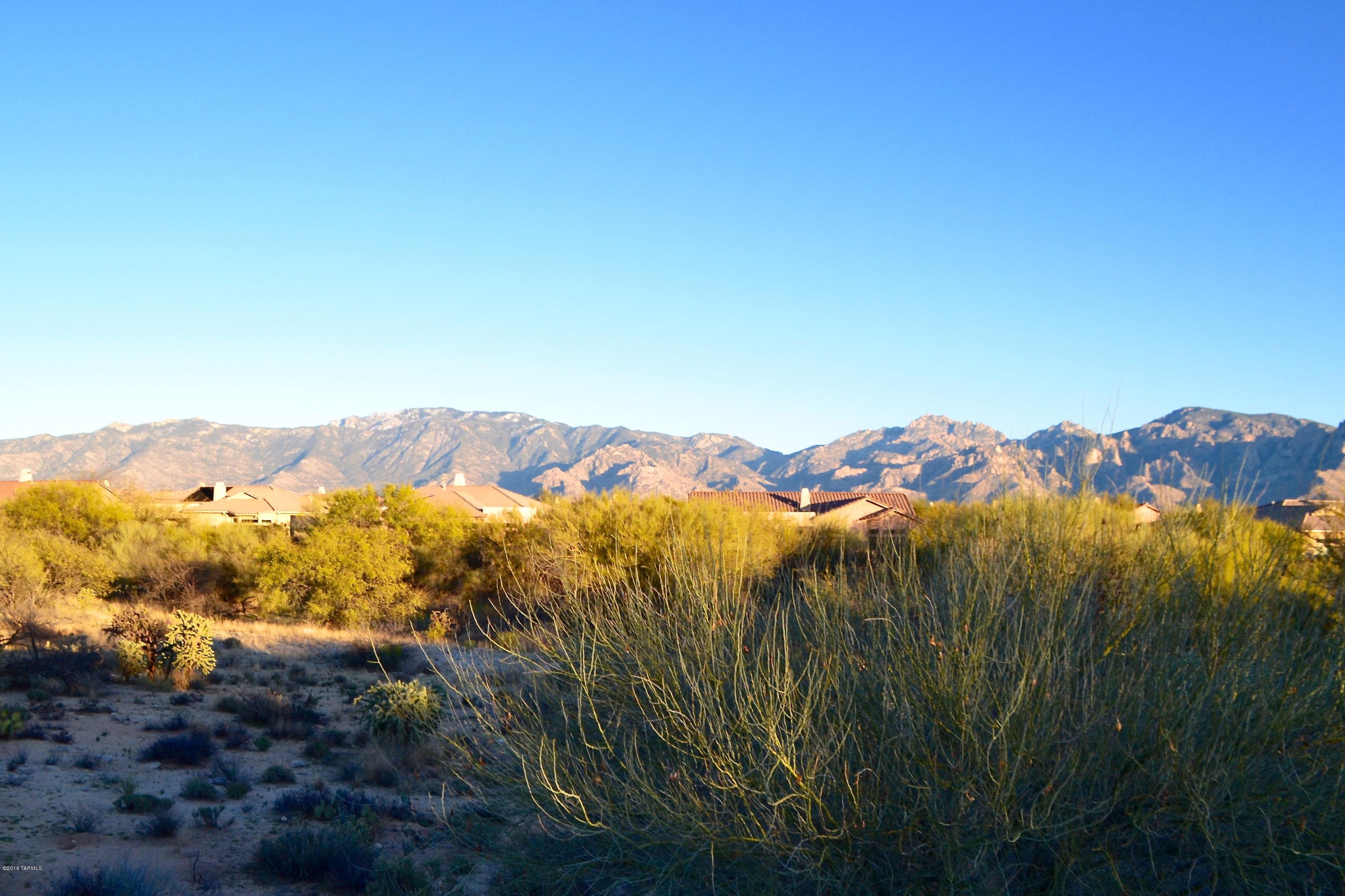 Stone Canyon I - Land