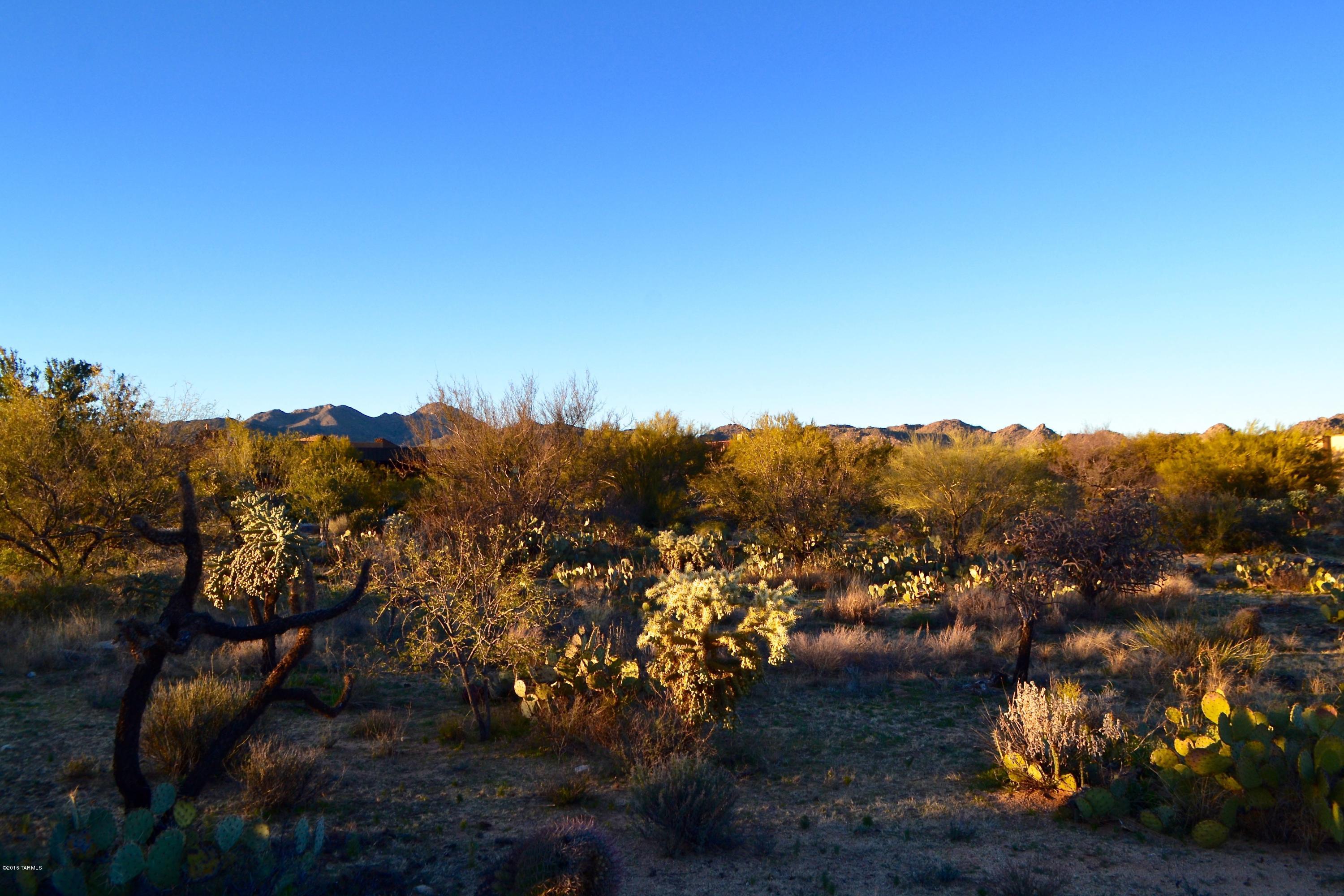 Stone Canyon I - Land