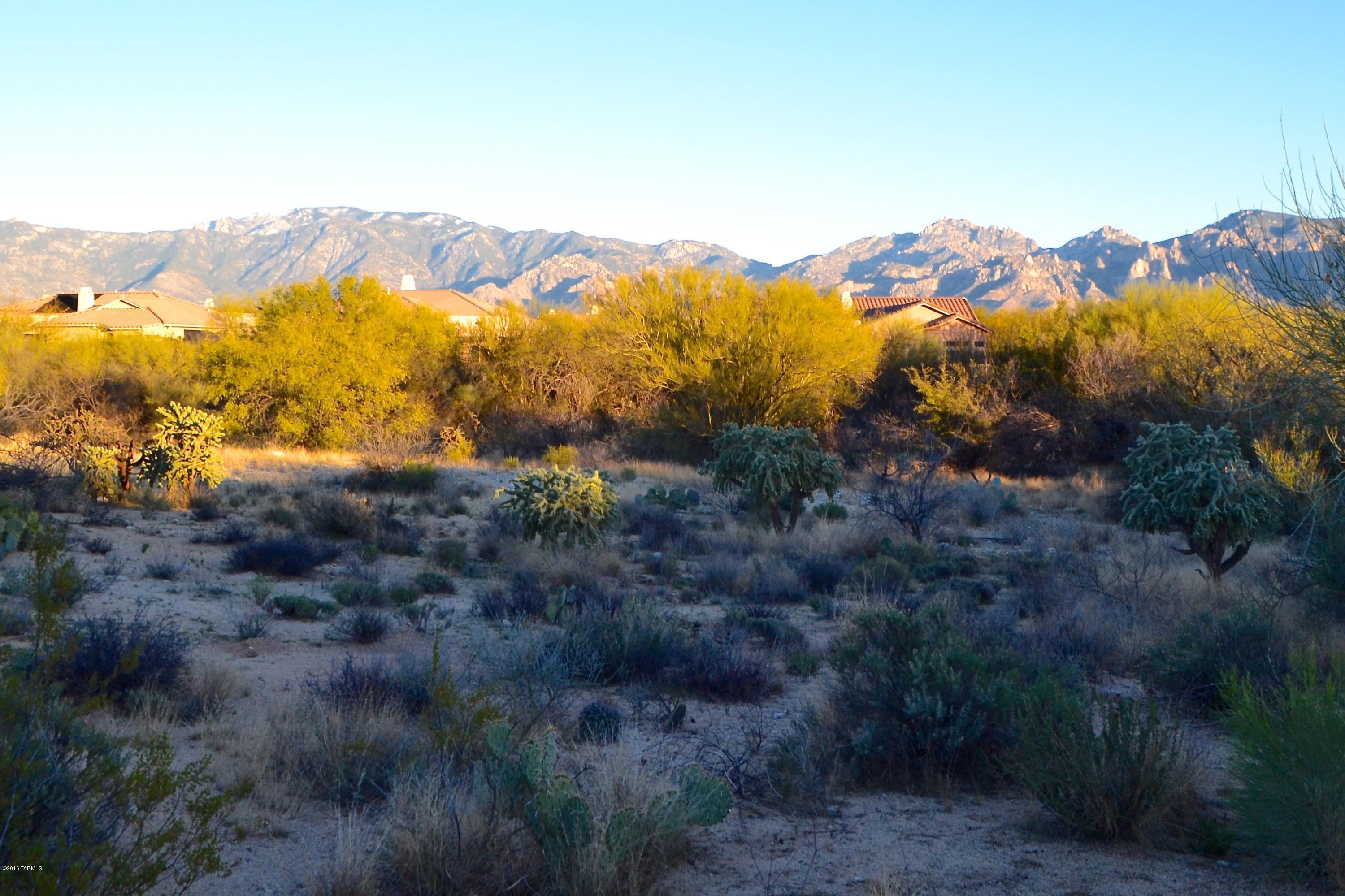 Stone Canyon I - Land