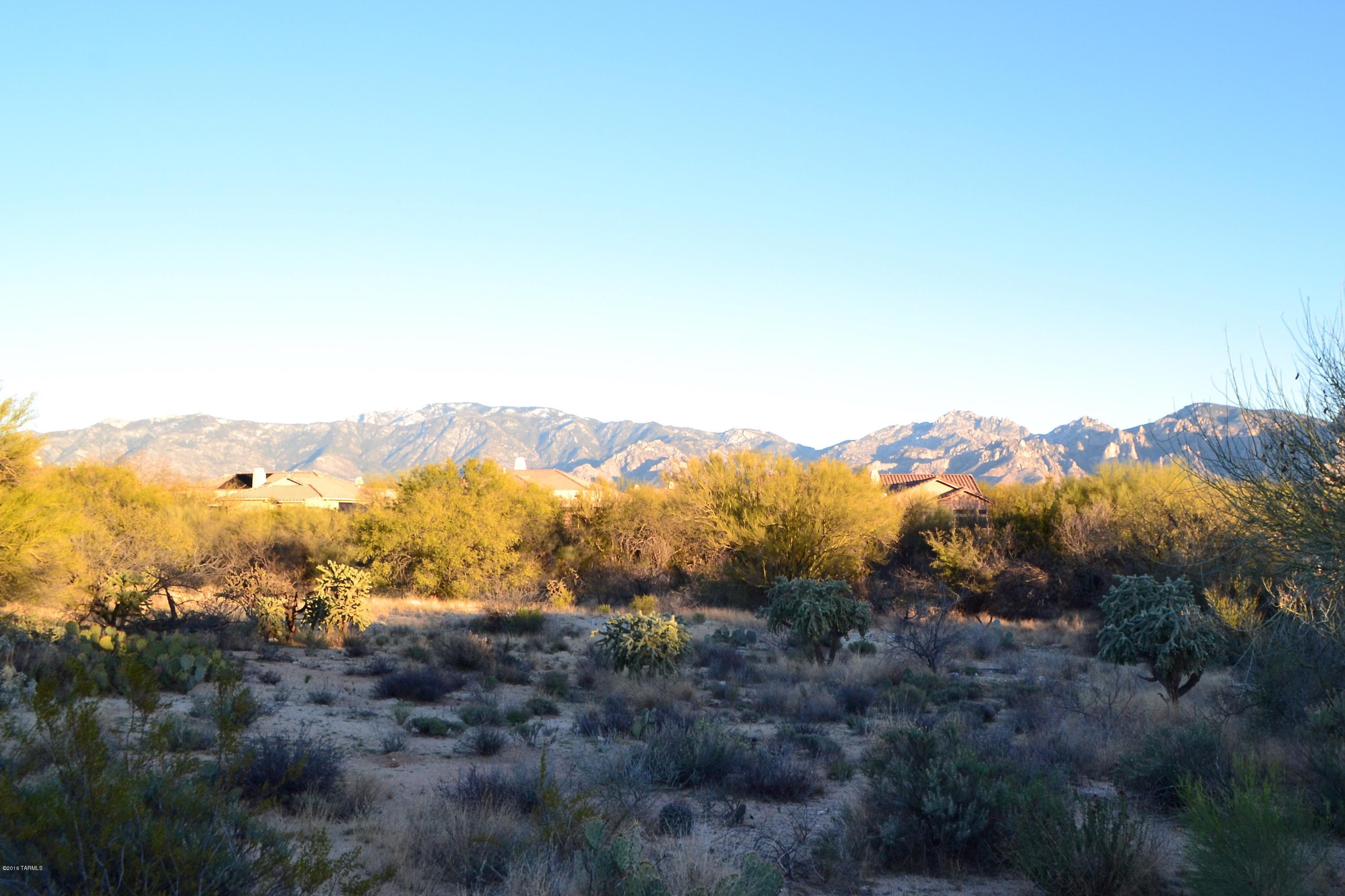 Stone Canyon I - Land