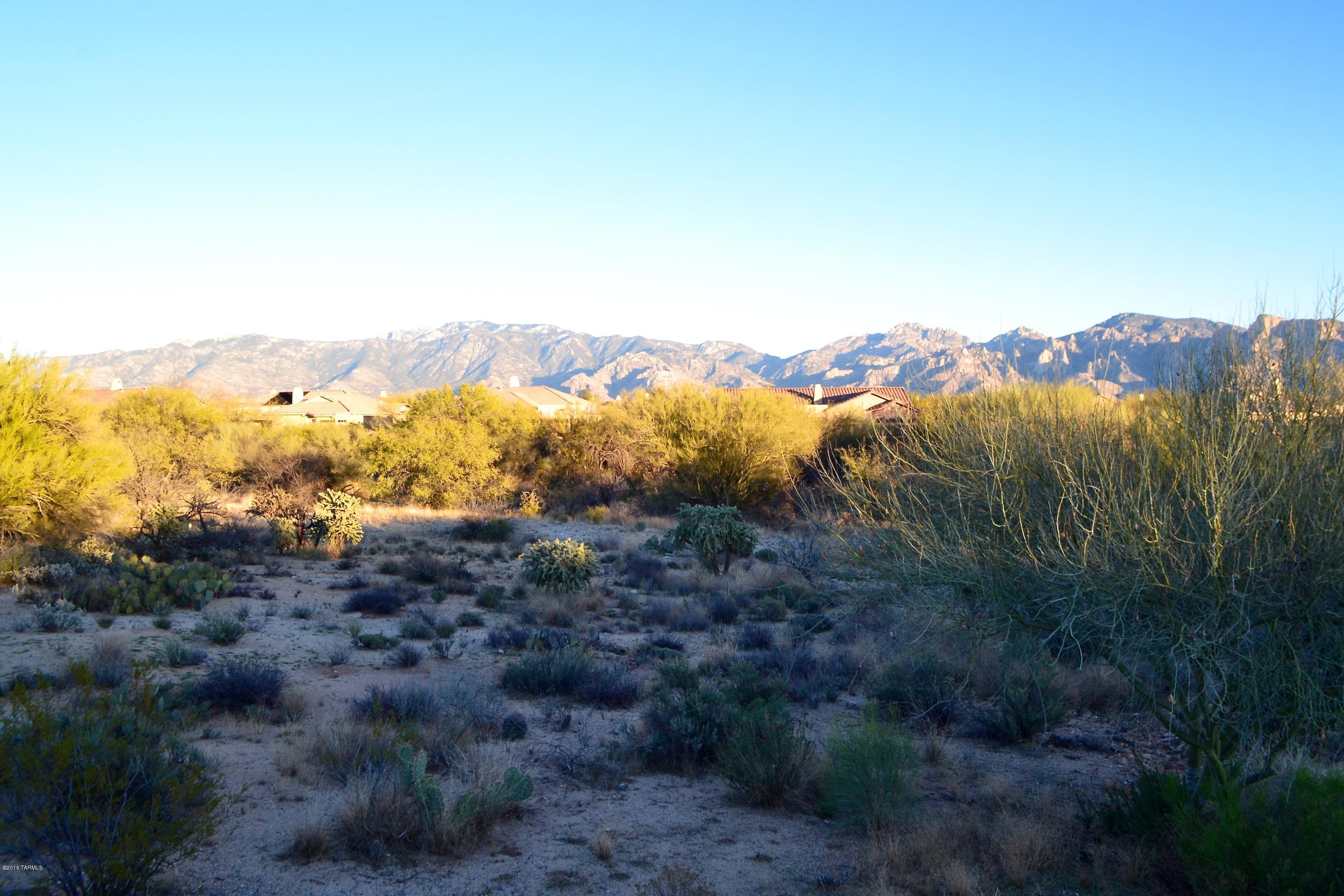 Stone Canyon I - Land