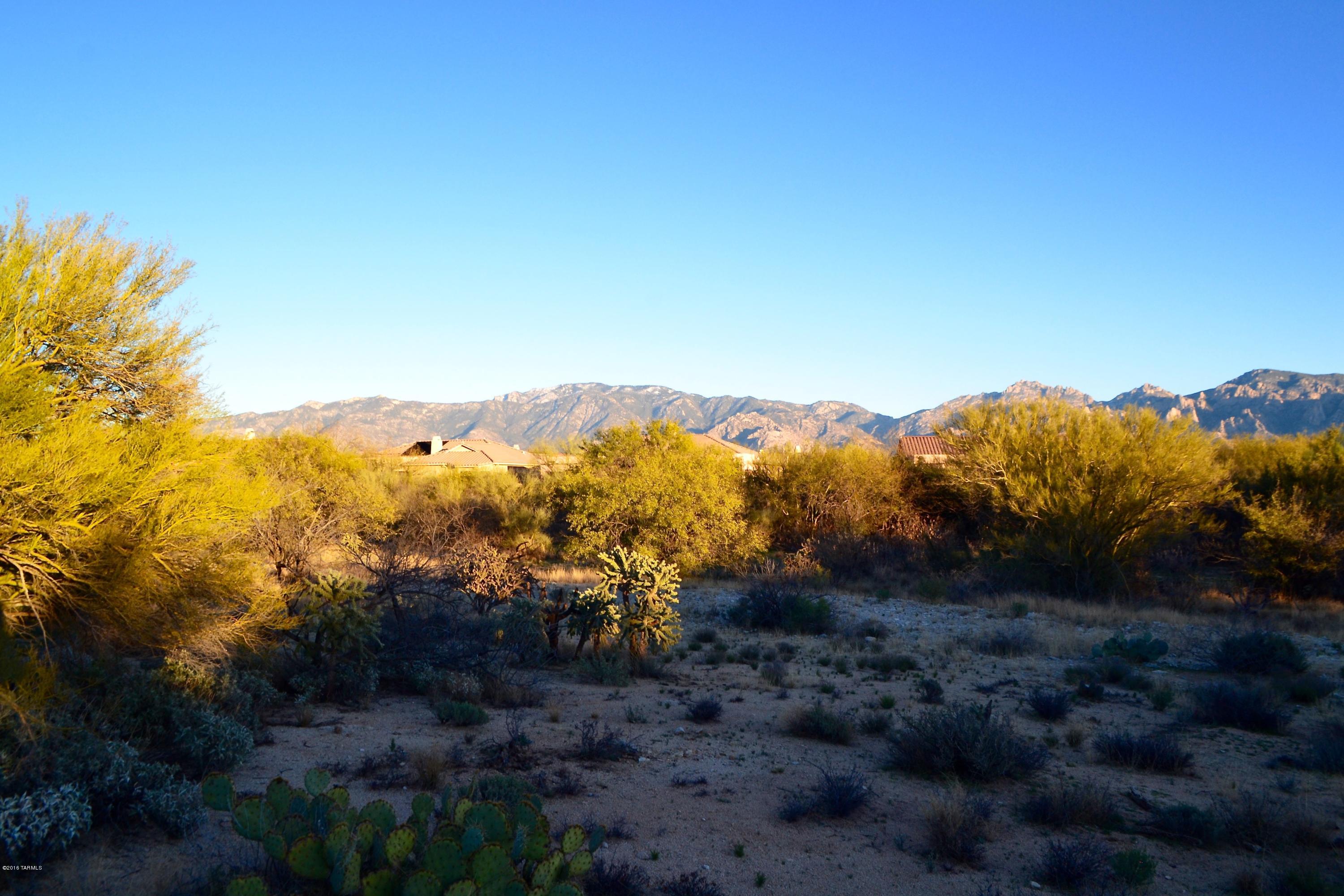 Stone Canyon I - Land