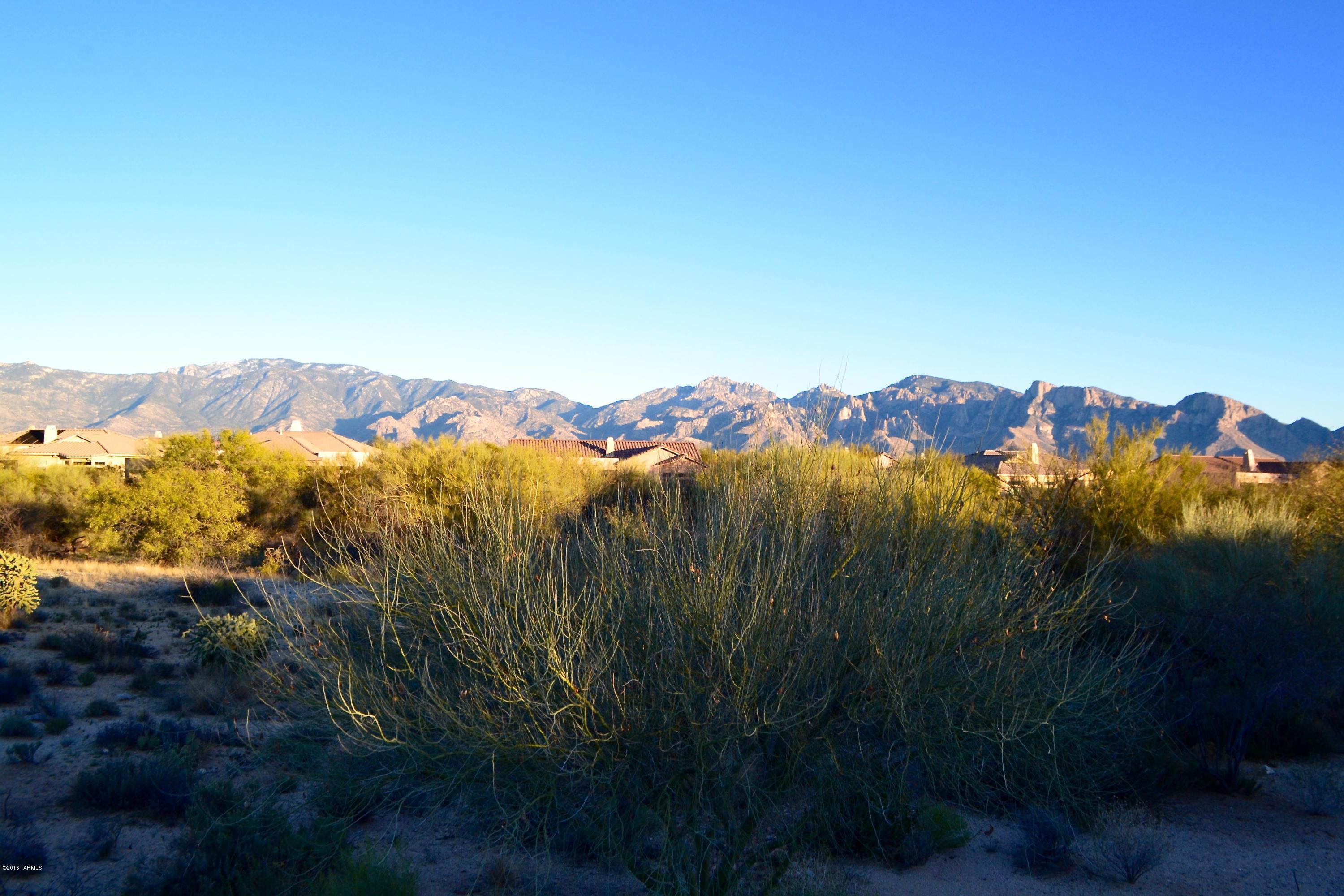 Fantastic large and easy build lot in Stone Canyon offers lovely views of the Catalina Mountains. Large flat homesite on cul de sac (~2.5 Acres). If privacy and views are important, then this is the lot for you! Located in guard-gated Stone Canyon in Rancho Vistoso's master planned development in Oro Valley.