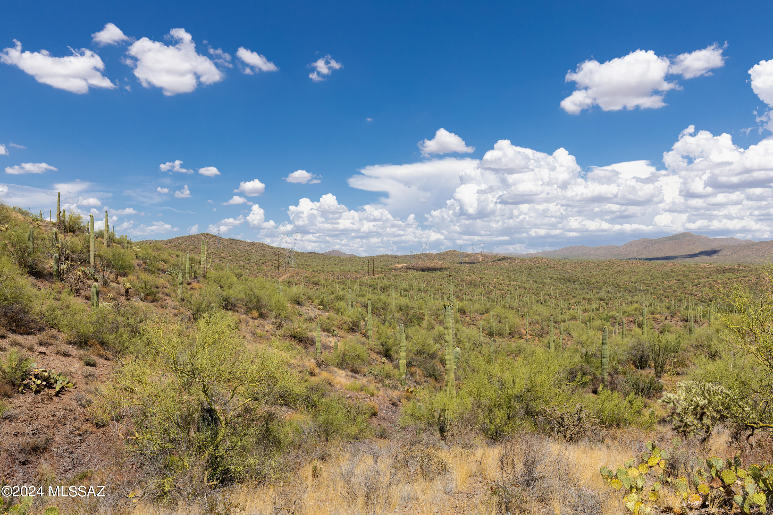 A unique 10 acre parcel offering peace & quiet away from the city in a gated area of Owl Head Buttes! This property has a 9% interest in a nearby well, about 1,250' away, which is a tremendous benefit compared with many other area parcels with no water. Mature saguaros and other excellent desert topography make this lot visually appealing. Enjoy picturesque views of the Owl Head Buttes, distant lights, Tortolita Mountains to the south, and unique rock formations on the land, This property is bordered by State Trust Land to the north and west another fantastic features.