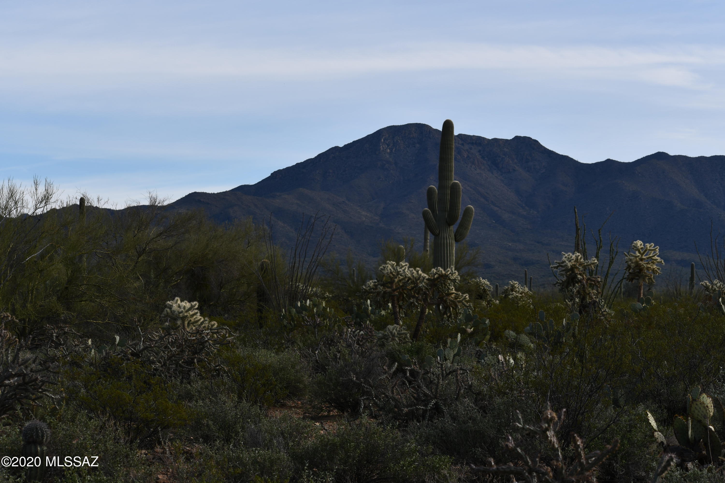 Absolutely pristine 23+ acre homesite with 1/4 mile frontage on Saguaro National Park. Huge Saguaro, ultimate privacy, abundant Sonoran Desert flora. Expansive views in all directions just outside Saguaro National Park. No Homeowners Association. East drive to major shopping and I-10 access. Builder services available. Trico Electric and Avra Water available. A rare opportunity. There are an additional four, 4.2 acre parcels available. Investment potential with Rural Homestead zoning. There is no official address, 6700 N Tula is approximate. Minor Land division in progress.