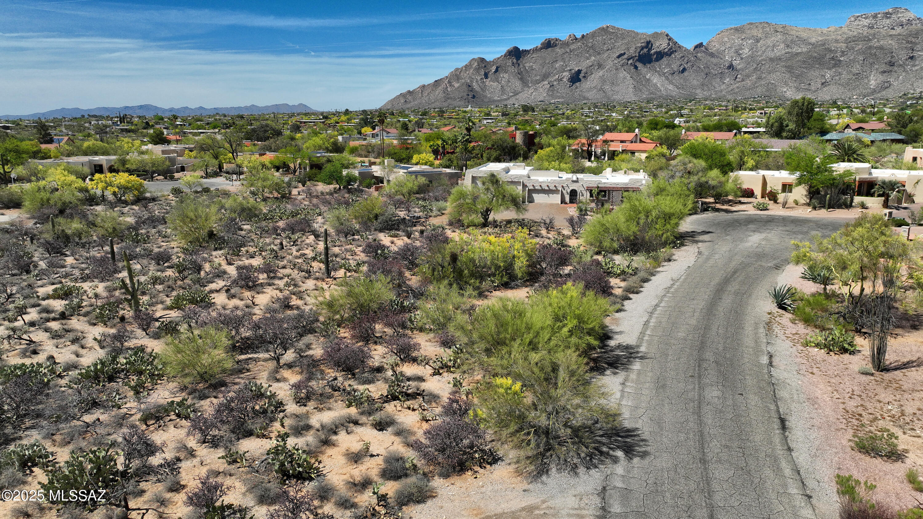 Shadow Hills (1-483) - Land