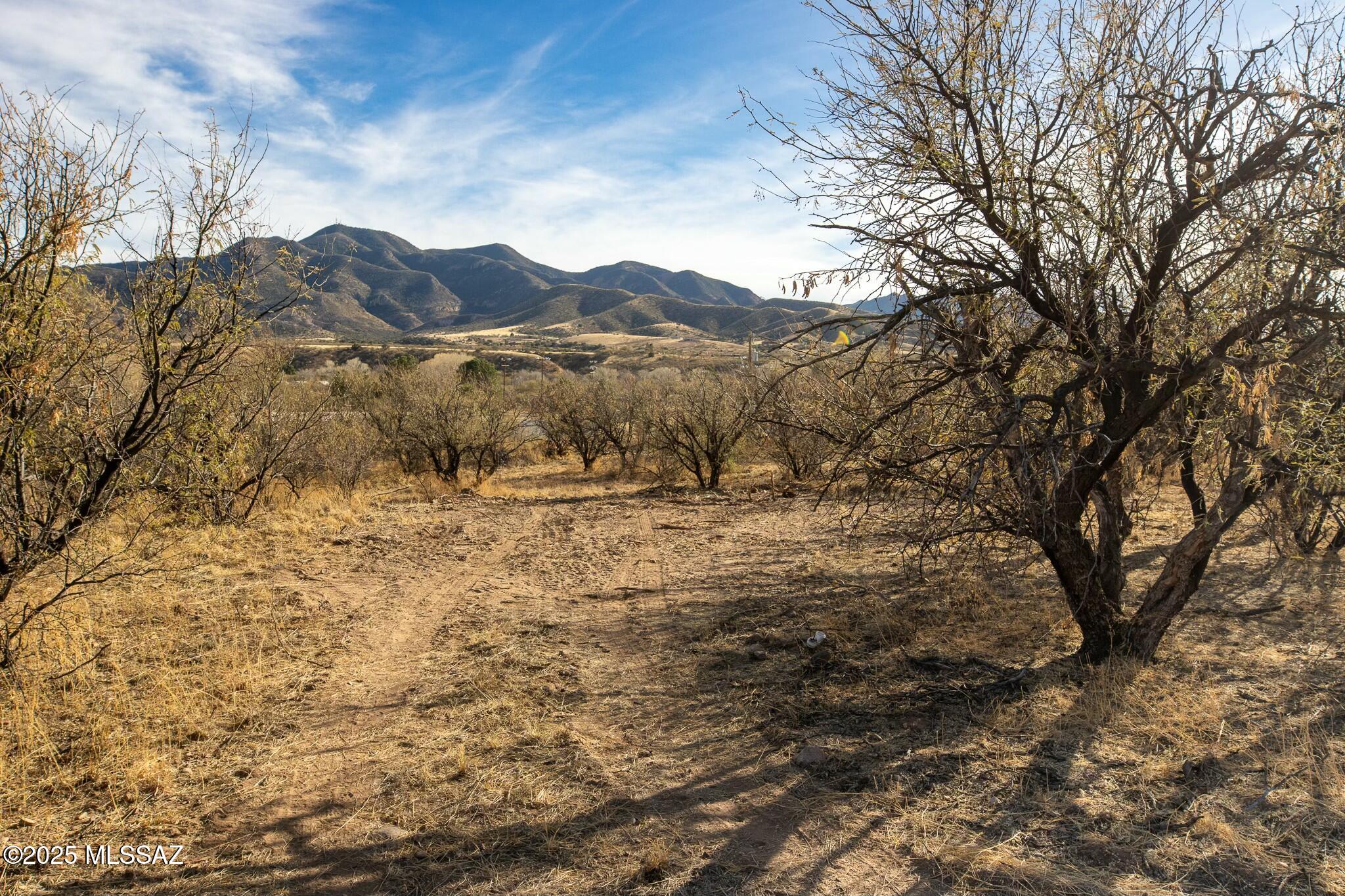 This spacious, dividable lot in Patagonia offers the perfect balance of privacy and convenience. With mature mesquites dotting the landscape and stunning views all around, you'll have a peaceful retreat just minutes from the heart of town. Plus, being out of the floodplain gives added peace of mind. The property comes with the modern amenities of underground electricity and city water, making it ideal for building your dream home. Don't miss the opportunity to enjoy a secluded setting with the charm of small-town living, all within walking distance of local shops and restaurants.