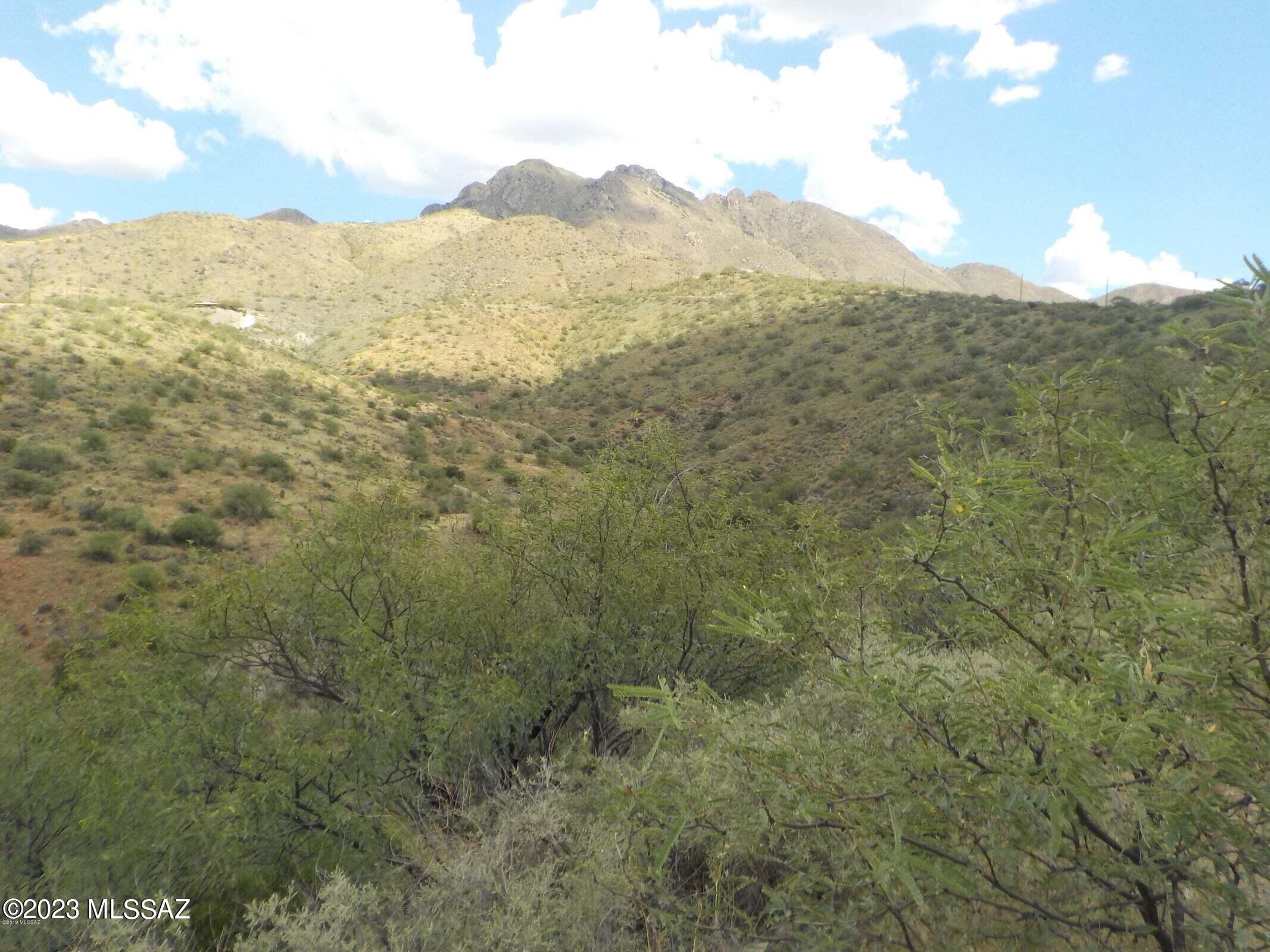 Rio Rico Ranchettes 17 - Land