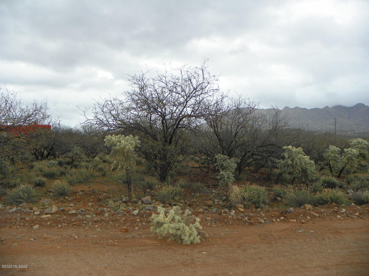 Nice flat lot easy to build on.  All paved roads for access.  Electric and water both appear to be at the street but water service can only be verified by the water co.  Easy access from I-19.