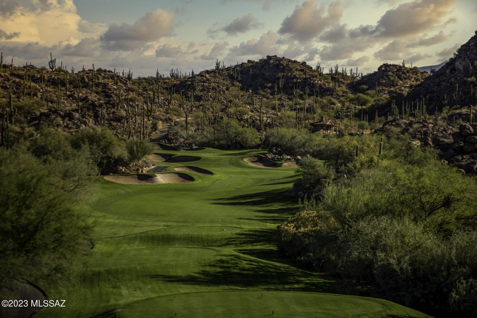 Stone Canyon VIII (486-602) - Land