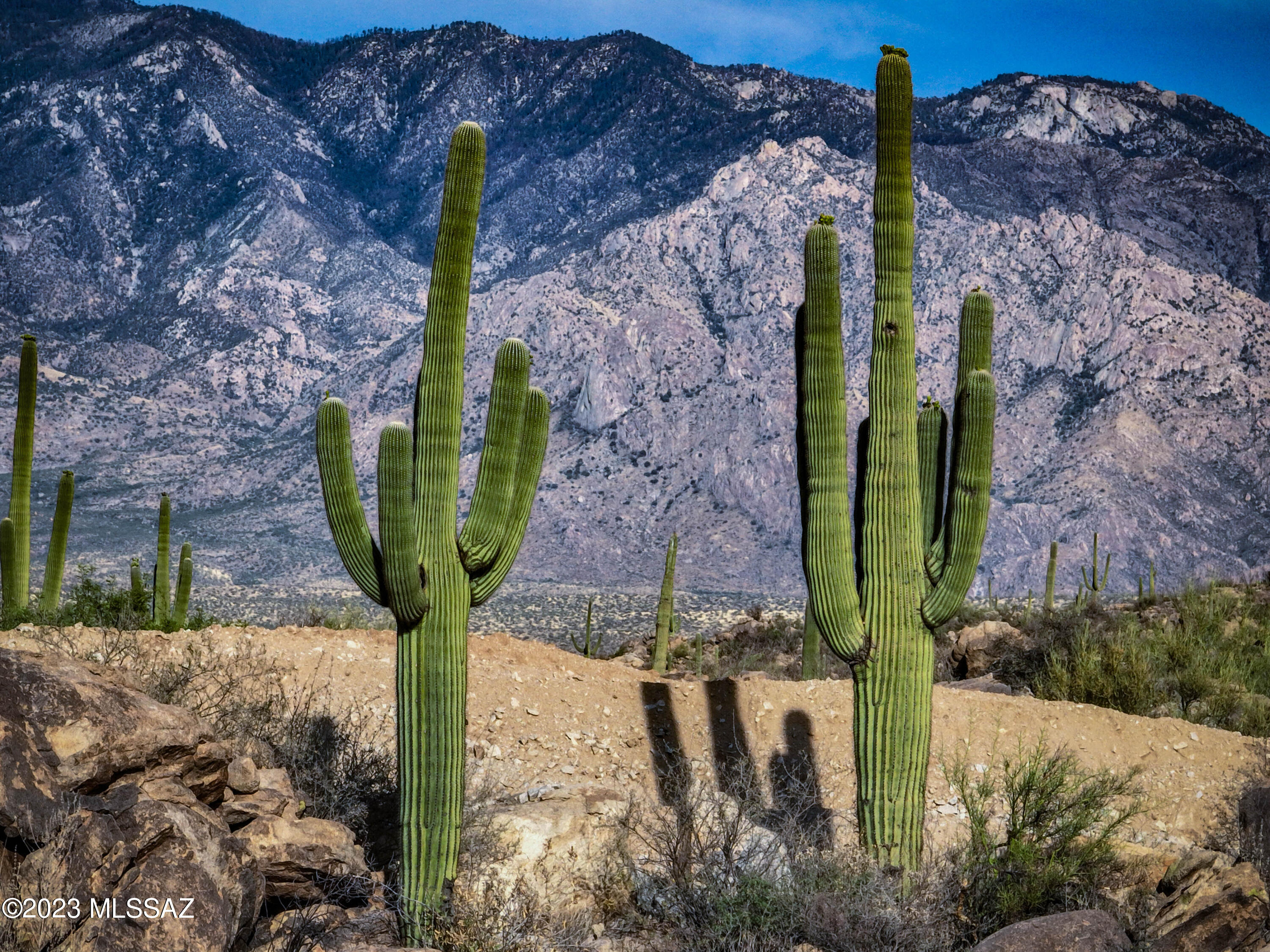 Range List Pricing: Experience desert paradise on an expansive 2.67 acres in the exclusive gated community of Stone Canyon.  Nestled among towering saguaros and lush desert vegetation, this luxury homesite offers breathtaking views of the Catalina mountains and natural rock formations throughout. This builder-owned lot provides the serene privacy you've been waiting for.
One Oak is a seasoned custom builder, poised to bring your dream to life with a home tailored precisely to your desires. Expect nothing less than the finest in craftsmanship, premium materials, luxurious amenities and exquisite finishes.  
Located in one of AZ most prestigious golf communities, Stone Canyon offers every luxury amenity you could wish for.  World-class golf course, Health & Fitness Club and Clubhouse. Just minutes from the vibrant offerings of Oro Valley and Tucson. Your private piece of paradise is near plenty of shopping, dining, entertainment, hiking/ biking trails, hospitals and so much more. Discover your own slice of Arizona's beauty in this exquisite desert retreat.