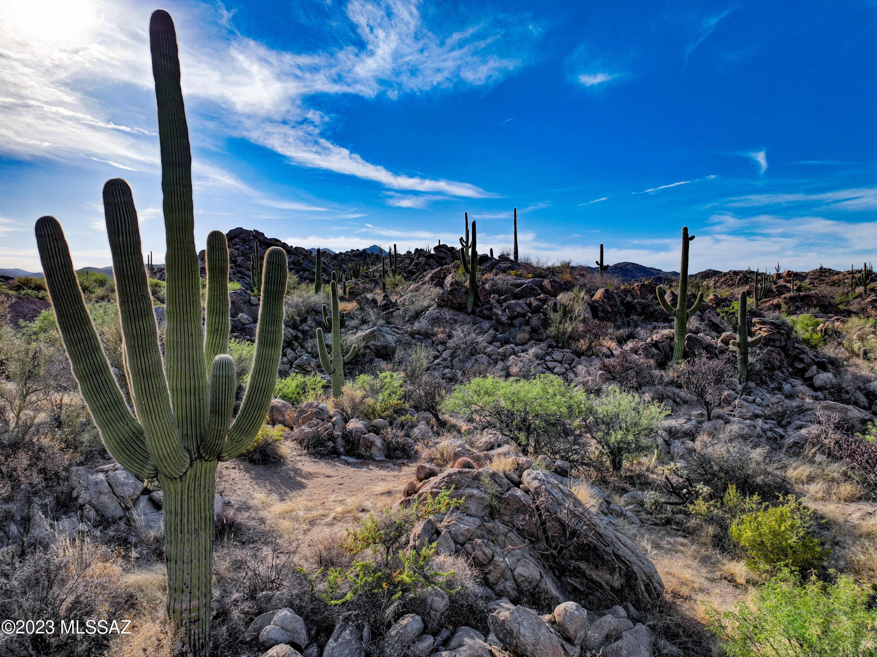 Stone Canyon VIII (486-602) - Land