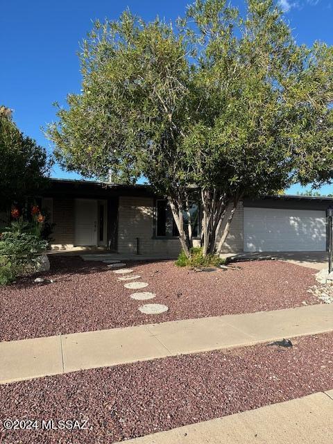 A''Vail''able now-This home features a large backyard with a Pool, covered patio and real grass. Upon entry is a formal Living Room with fireplace & Bay Window. There is tile and vinyl plank throughout with all spacious rooms having ceiling fans.  The kitchen includes all appliances with Washer & Dryer which opens up to a large family room off kitchen leading into the landscaped backyard to the pool.  This home has a induction stove. This 3-bedroom 2.5 bath home is located on an established street with mountain views.  2 car garage & within walking distance to the elementary school with no HOA.  This unique home is ready for occupancy.  Please call for a showing or application.