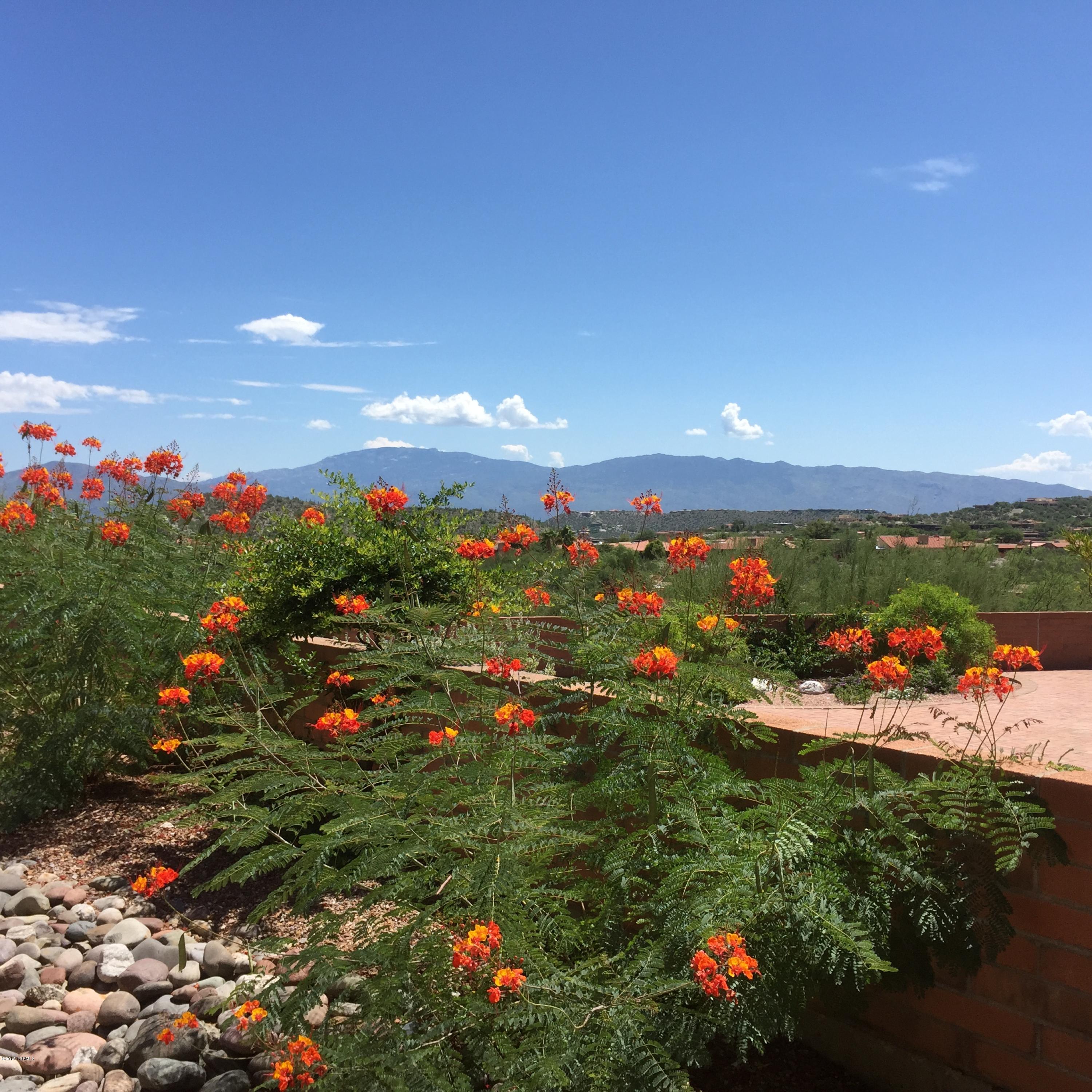 Sunrise Mountain View Estates (1-53) - Residential Lease