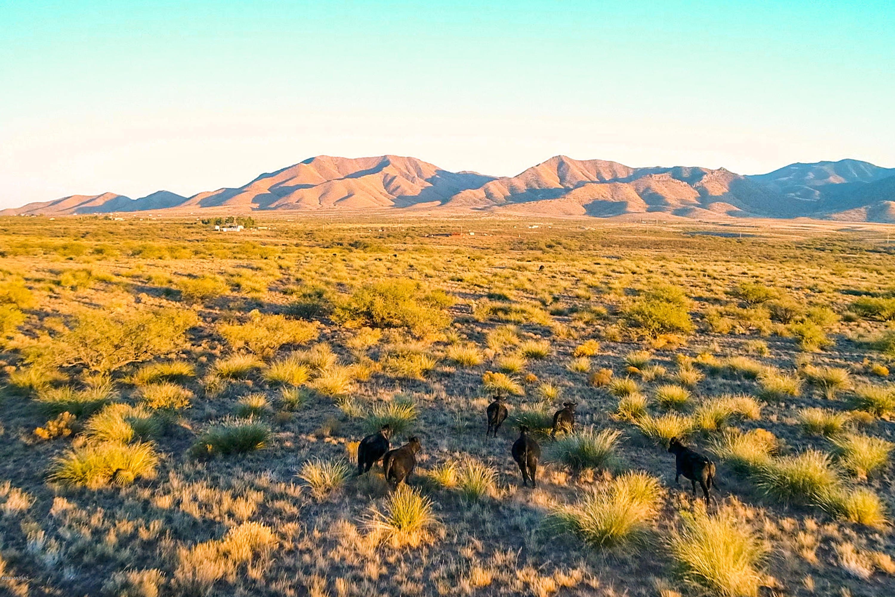 Little Dragoon Ranch - Land