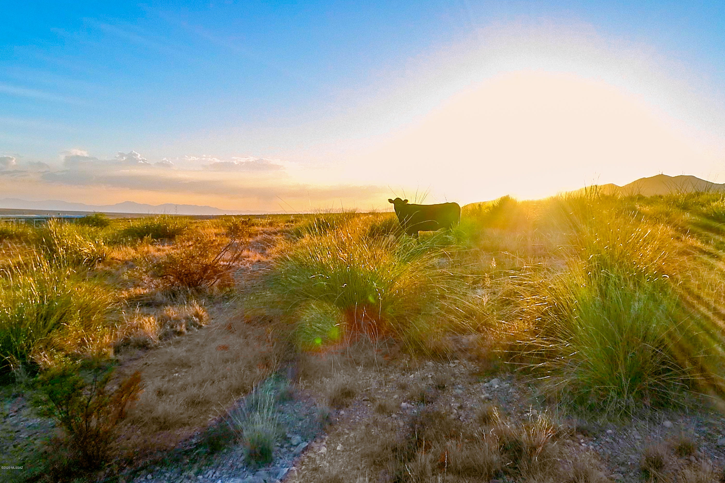 Little Dragoon Ranch - Land