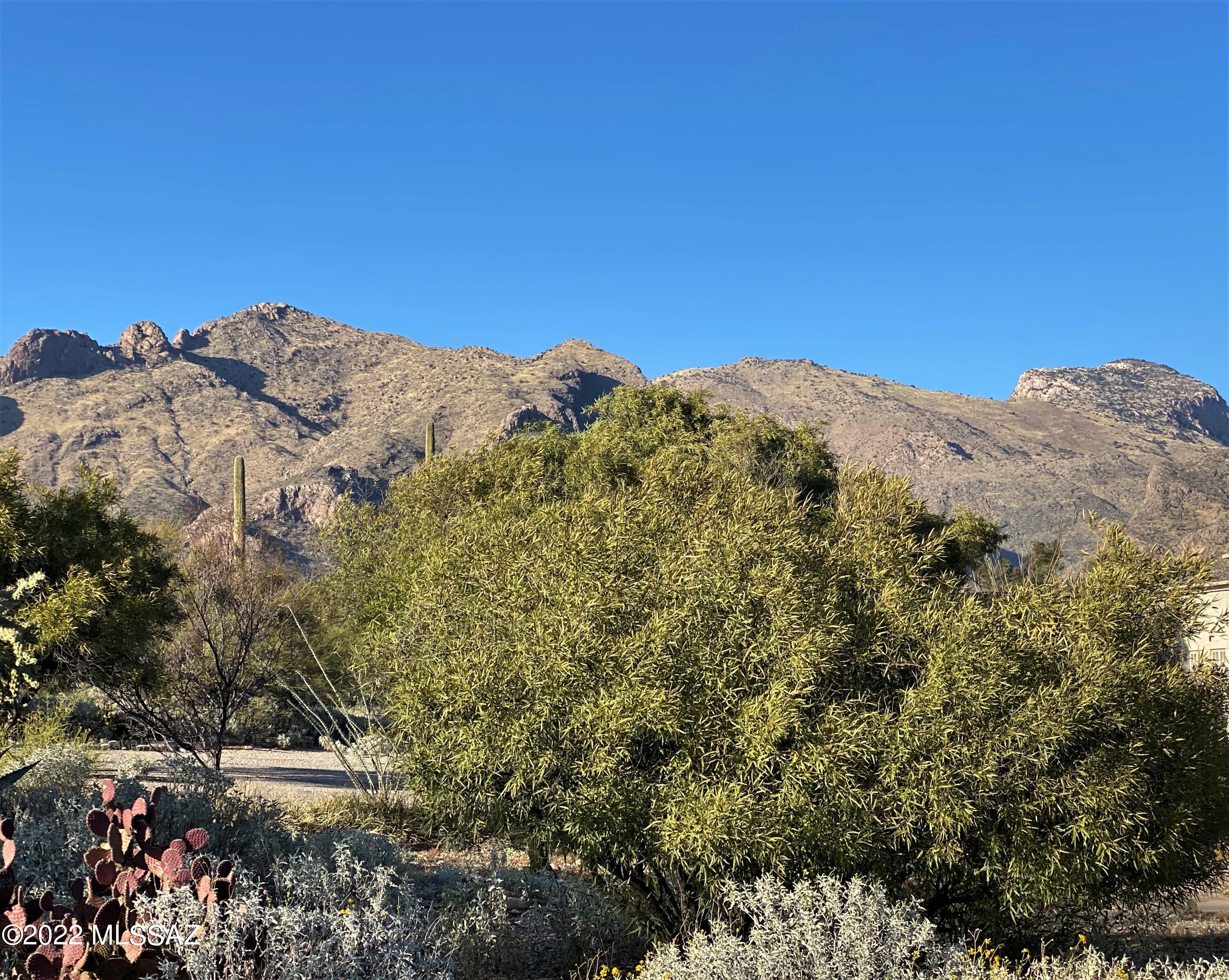 Vista De Las Candelas Estates NO. 3 (62-139) - Land