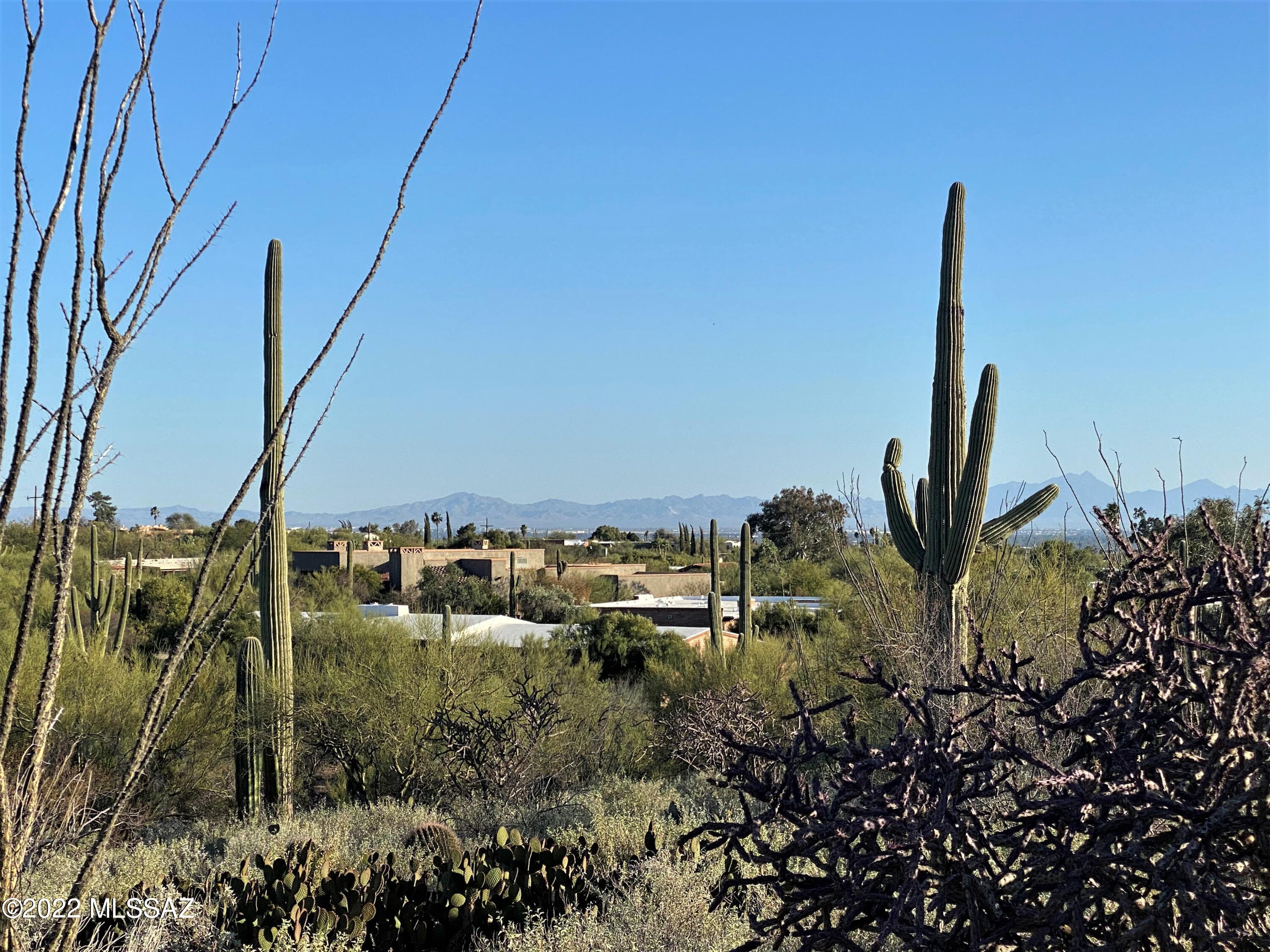 Vista De Las Candelas Estates NO. 3 (62-139) - Land