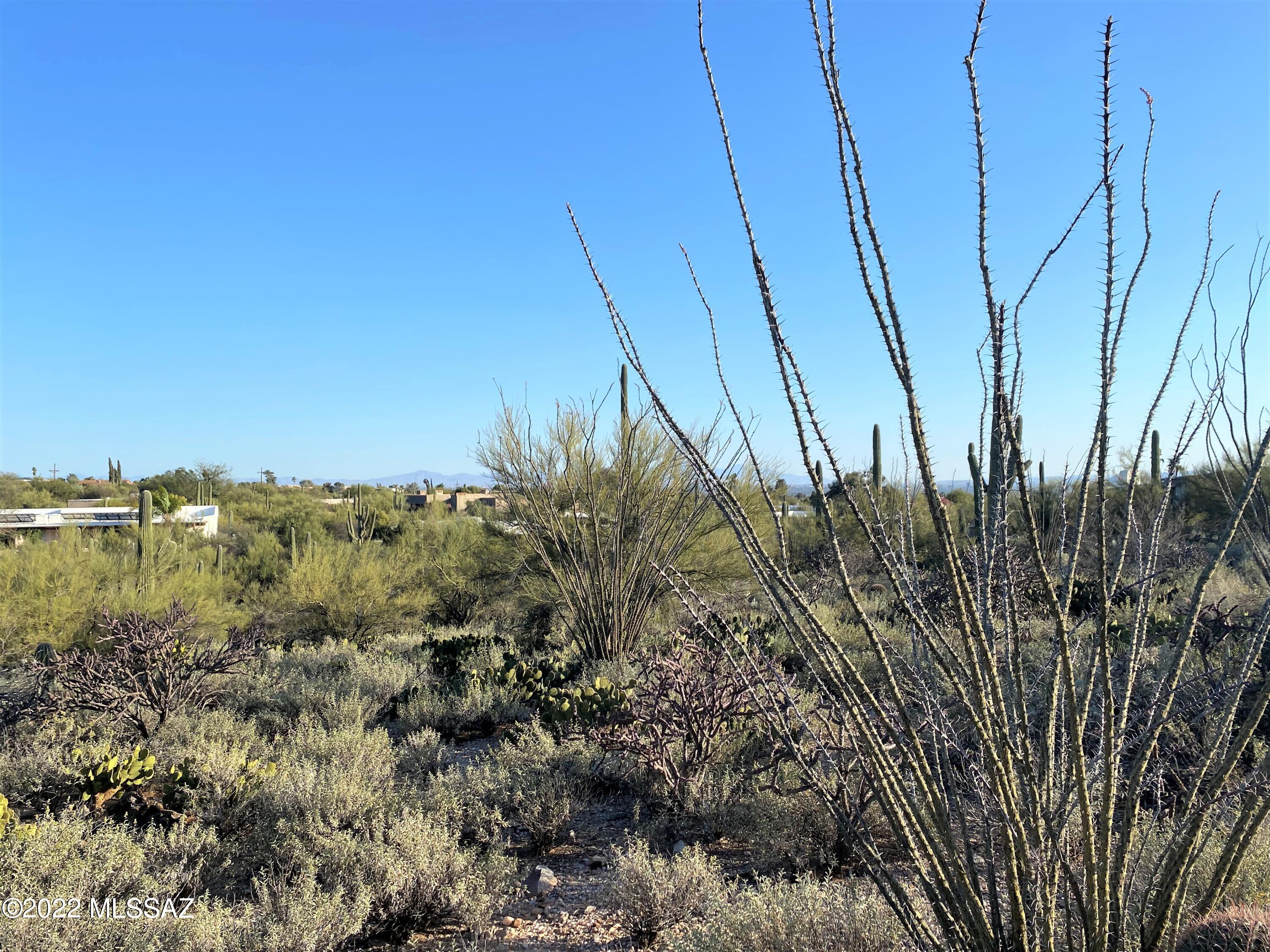 Vista De Las Candelas Estates NO. 3 (62-139) - Land