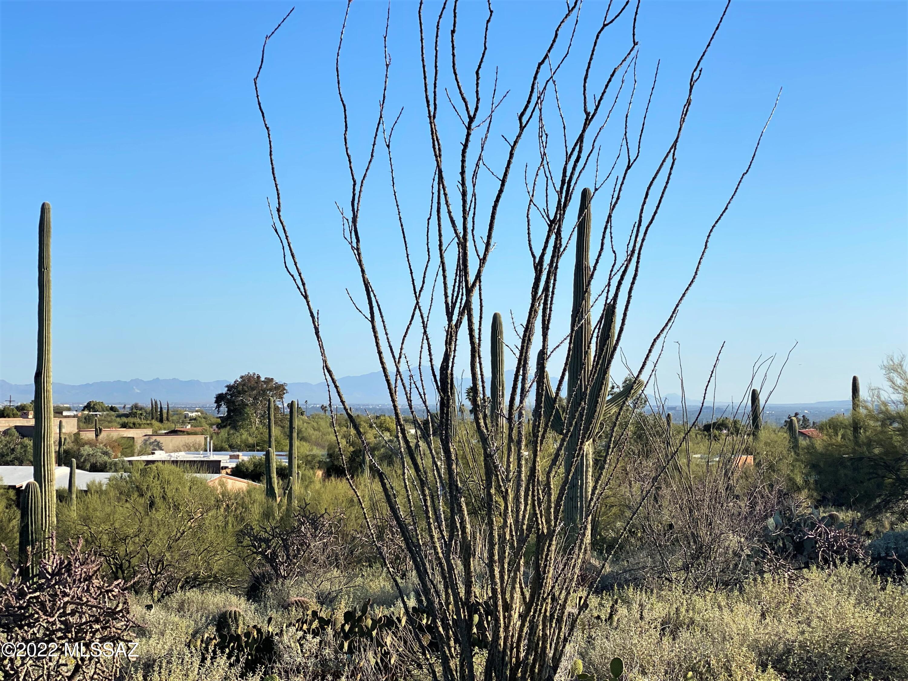 Vista De Las Candelas Estates NO. 3 (62-139) - Land