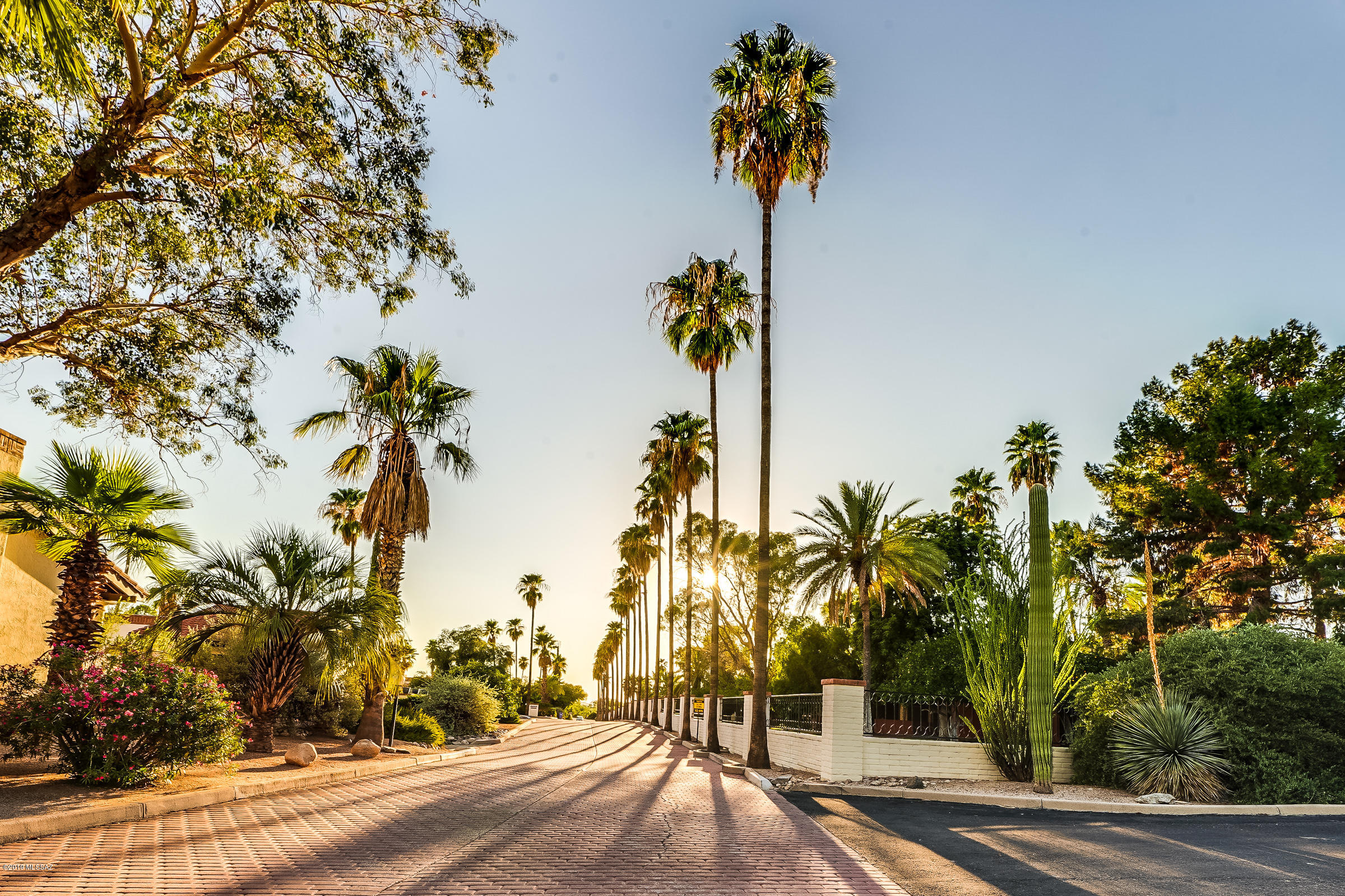 Sonoran Palms Townhomes (1-68) - Residential