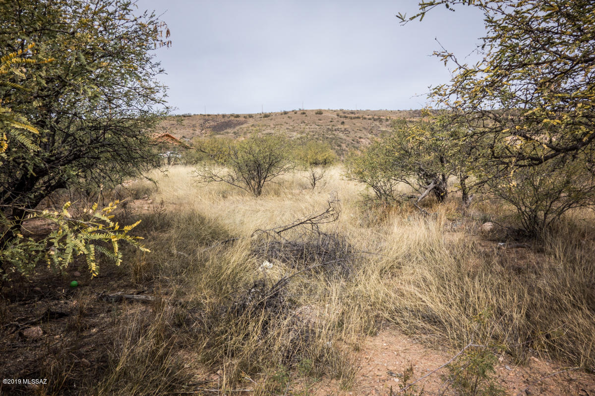 Rio Rico Villas 13 - Land