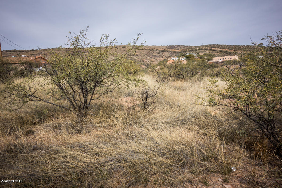 Rio Rico Villas 13 - Land