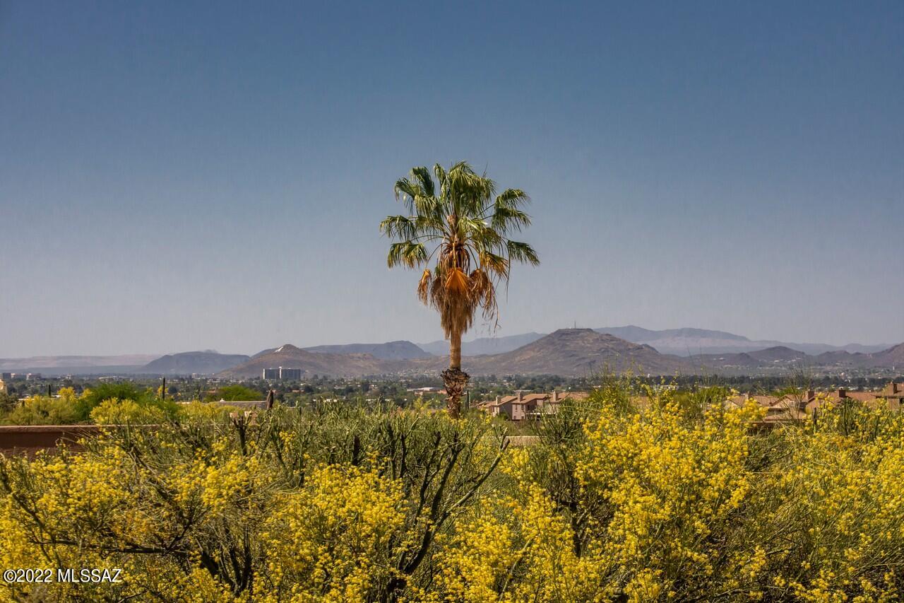 Catalina Foothills Estates NO. 7 - Residential