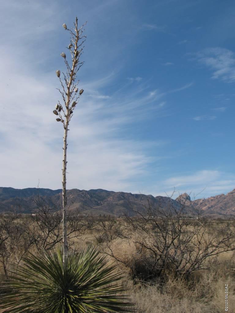 Arizona Sun Sites - Land