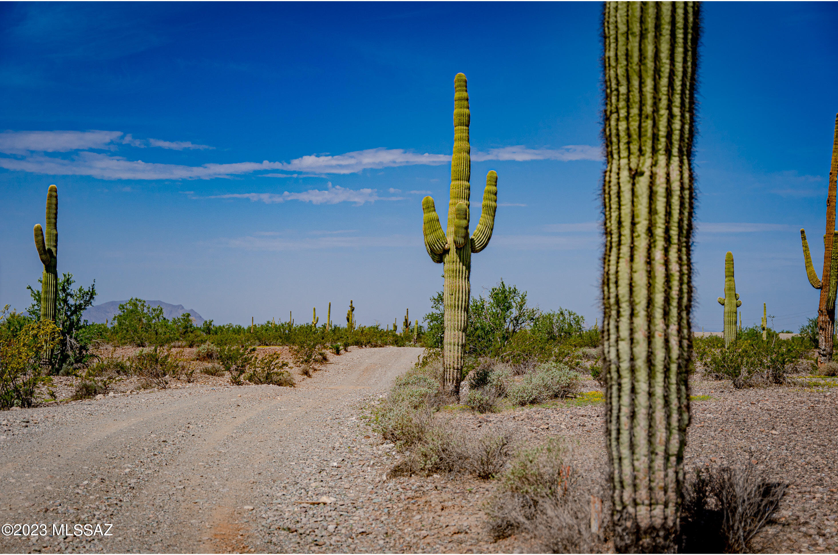 Out Of Pima County - Land